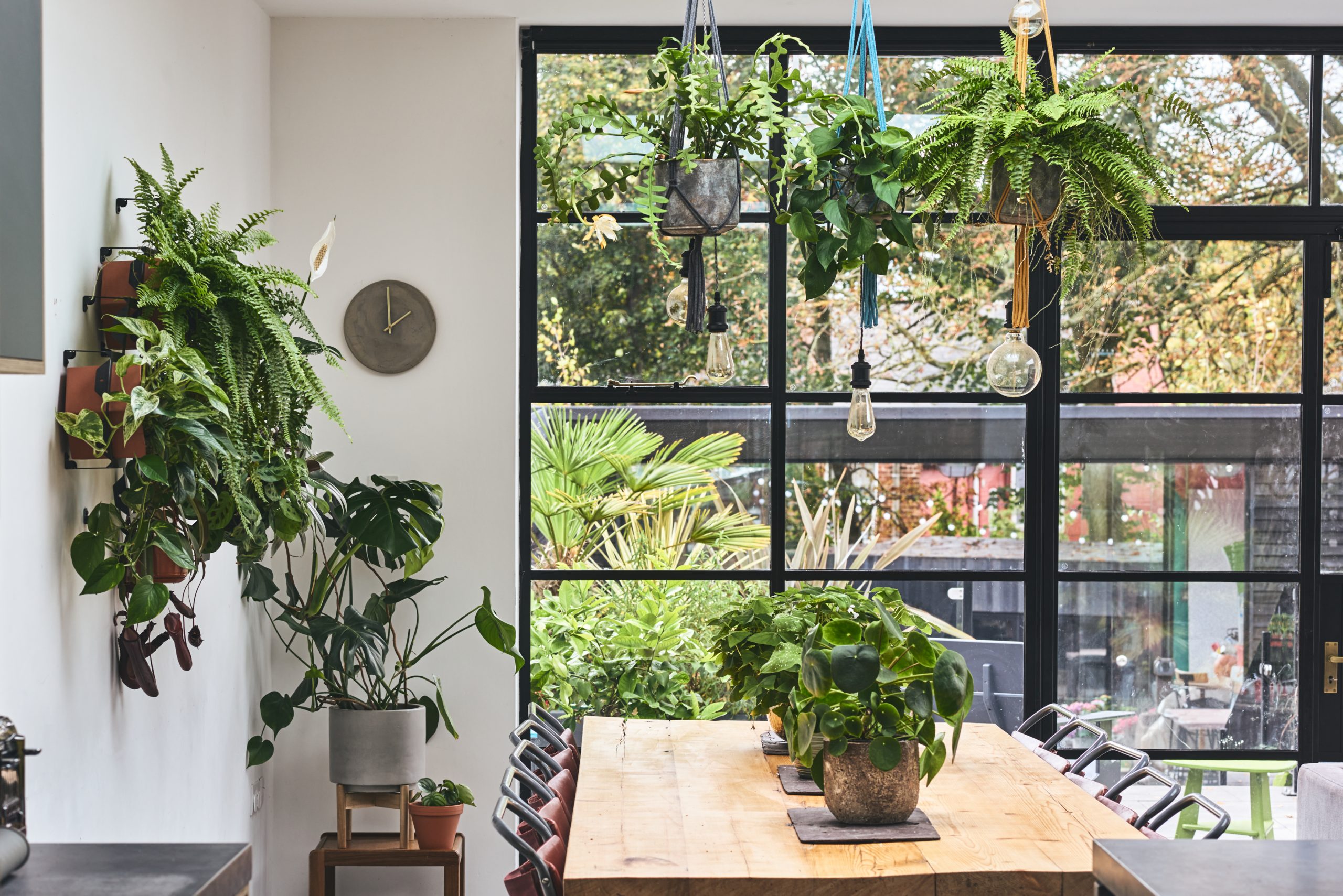 A living wall in the kitchen creates a green and vibrant space.