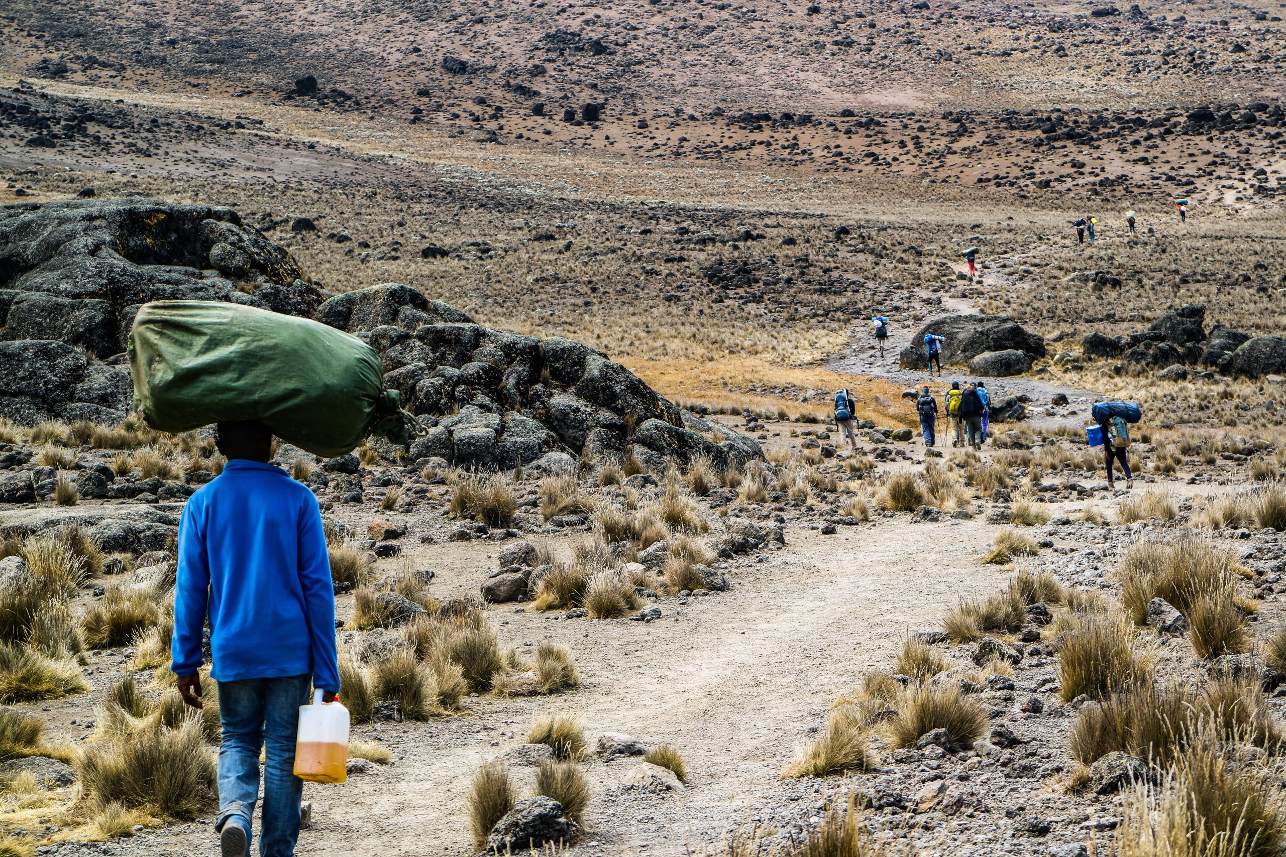 Several travellers climb the path up Mount Kilimanjaro.