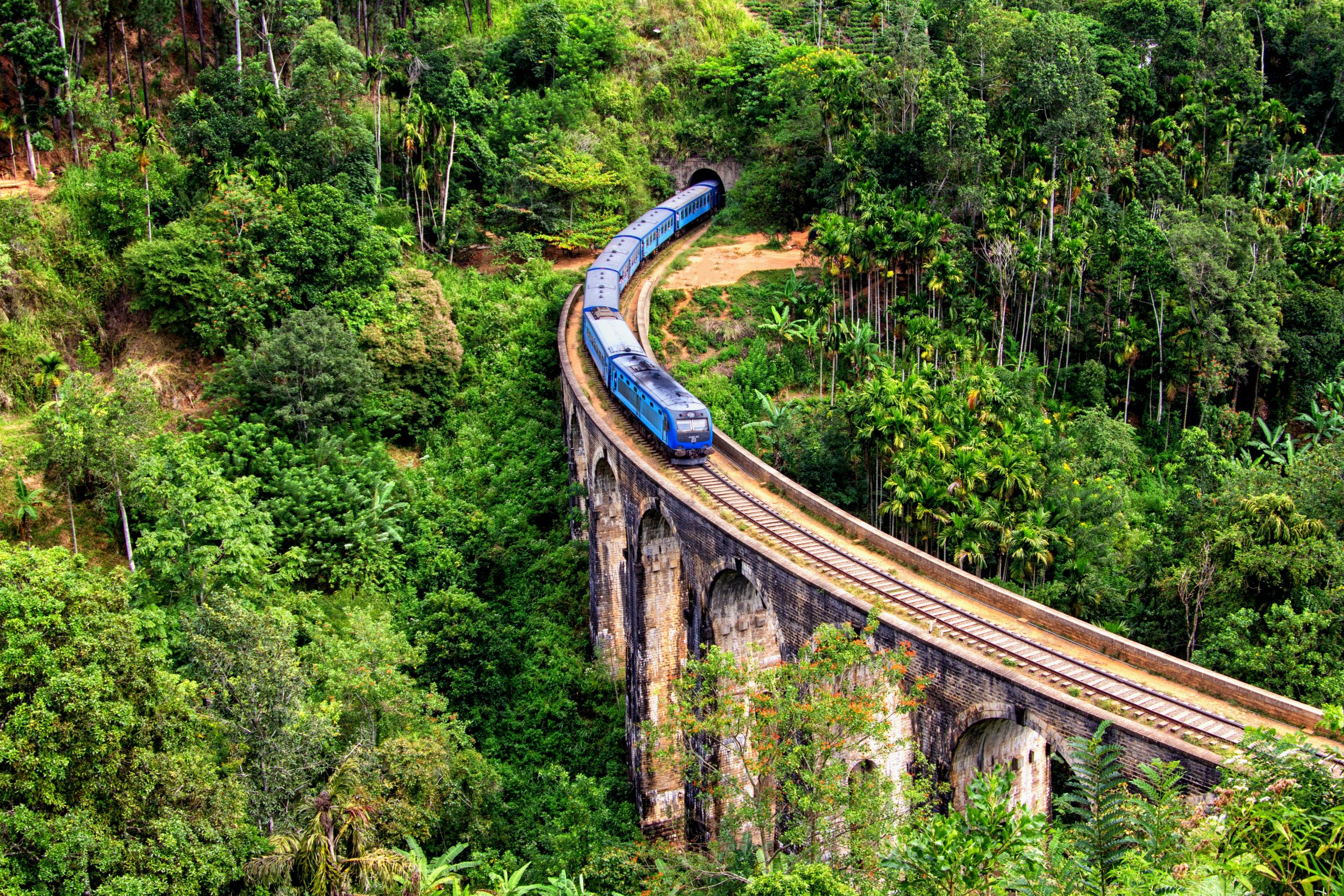 A train speeds across a bridge through the vibrant green foliage of Sri Lanka. 