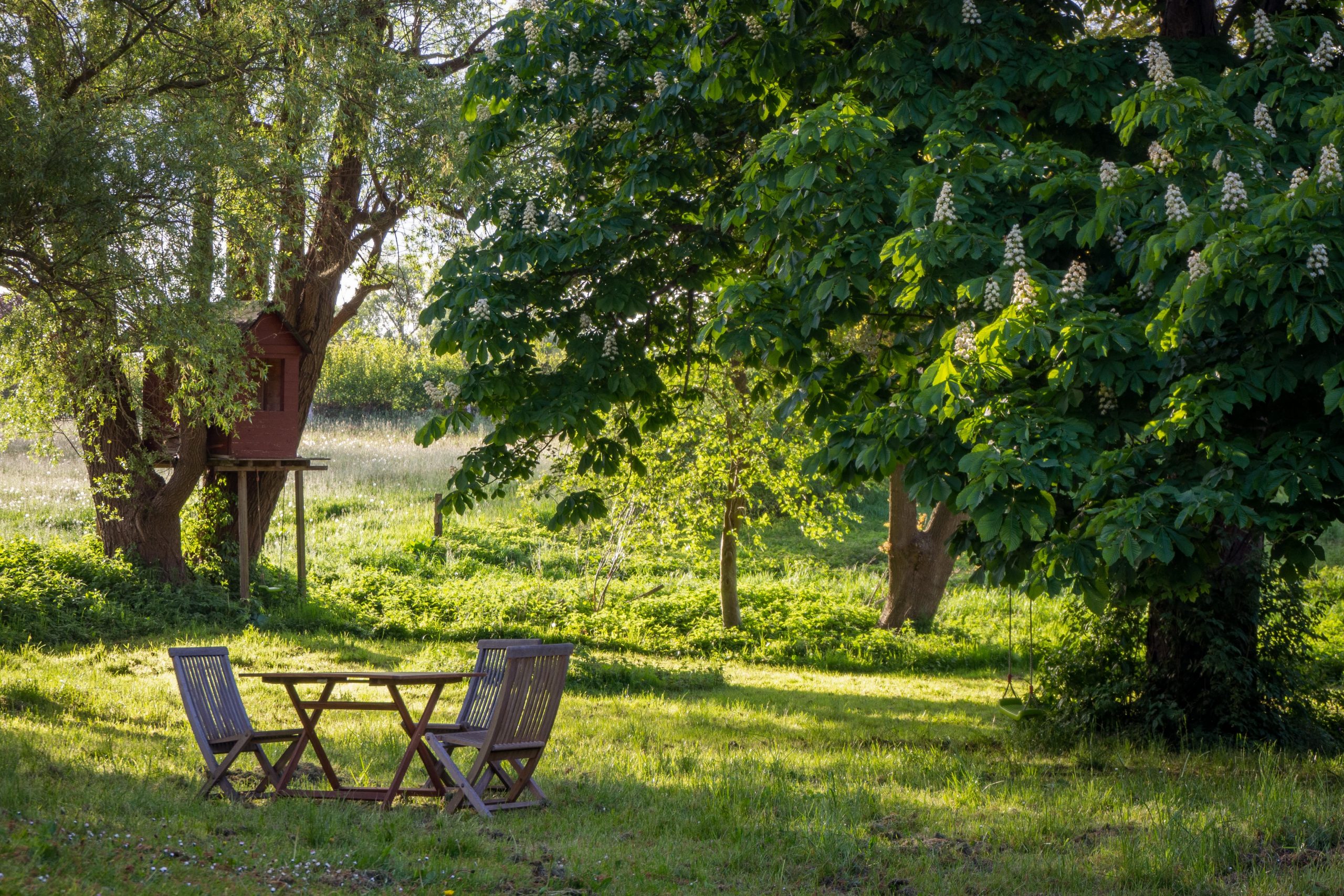 A secluded sitting area in a green park with a treehouse in the background.