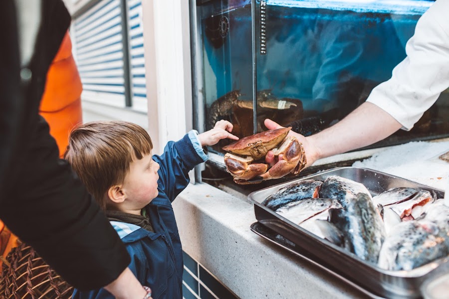A young boy inspects a crab from the fishmongers tentatively.