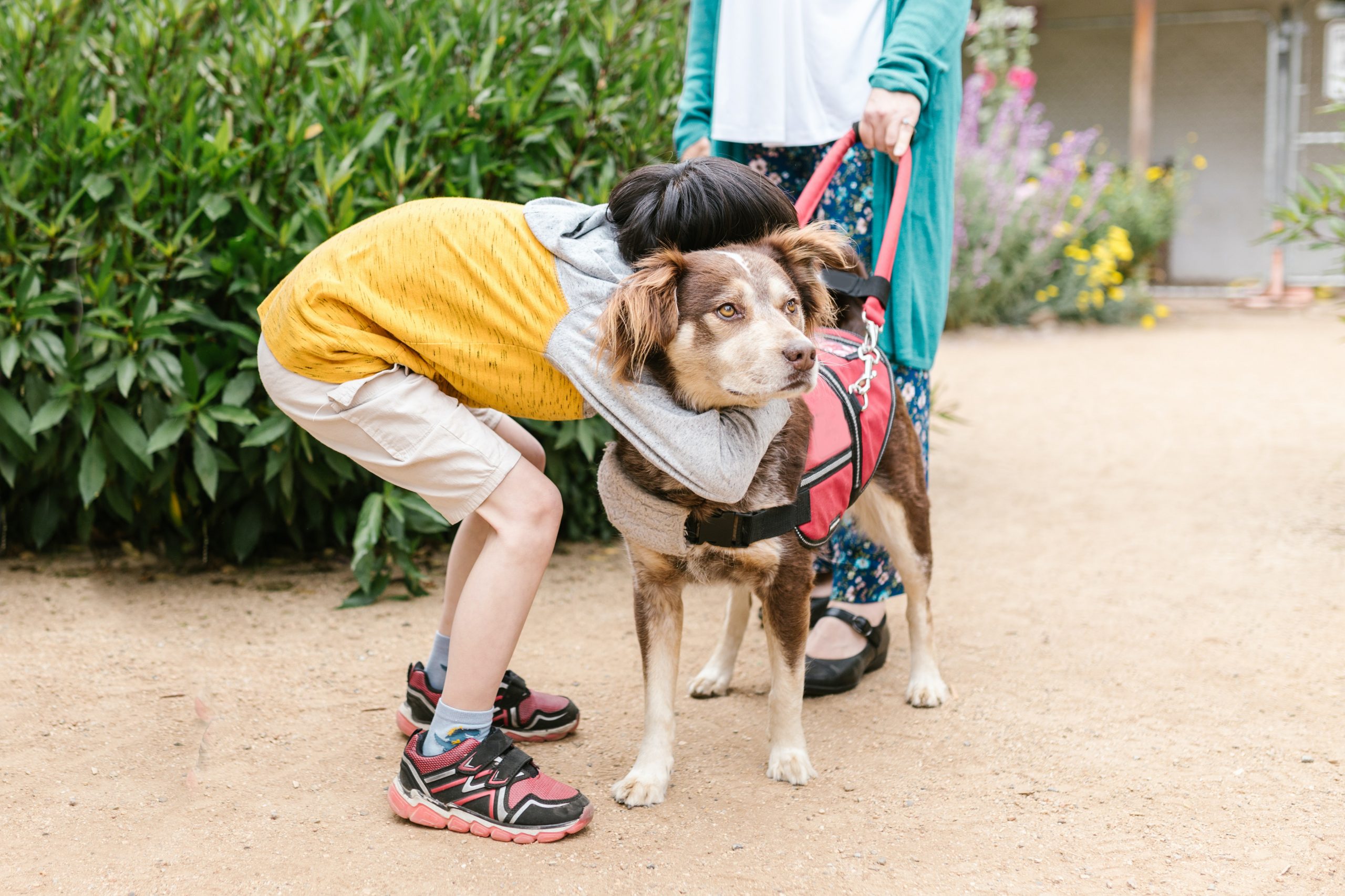 A child hugs a therapy dog while his owner stands by.