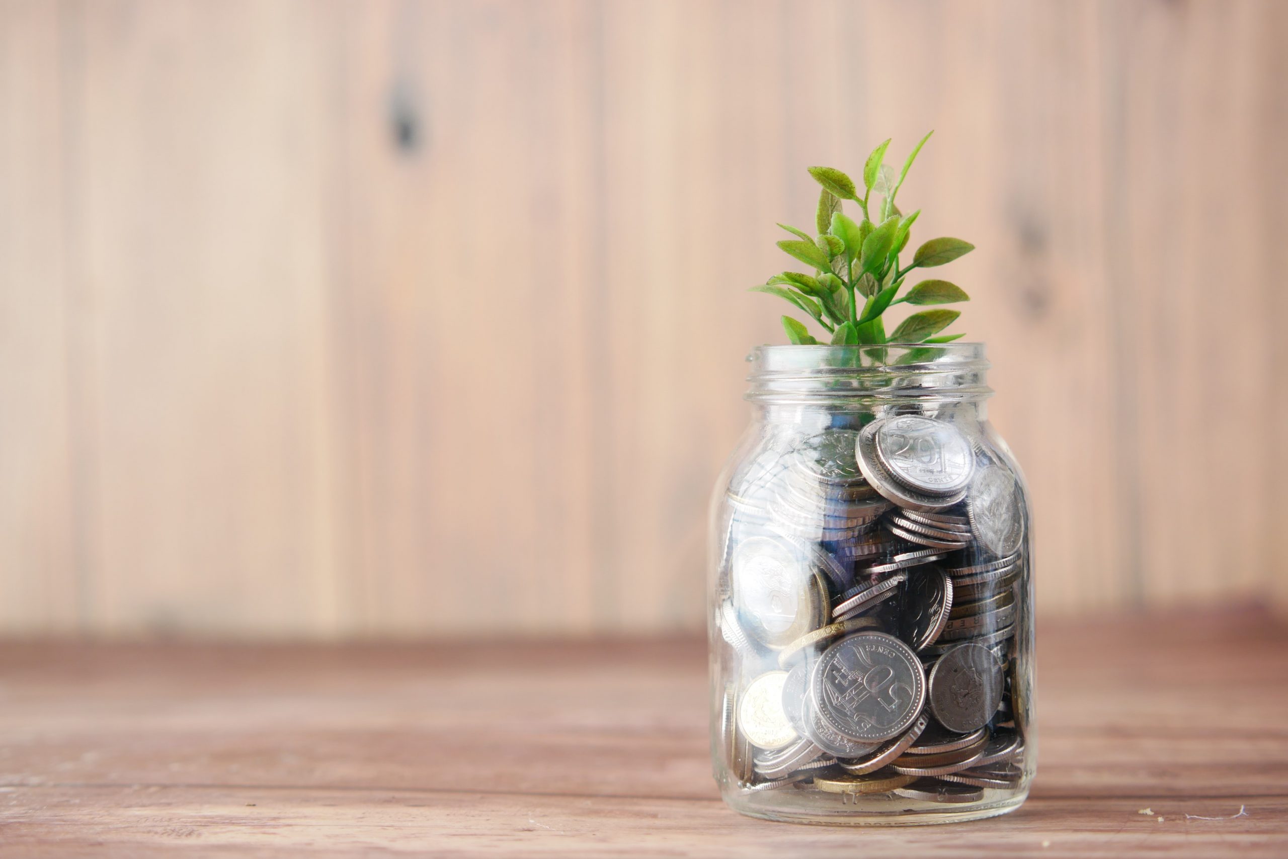 A green plant sprouting out of a jar of coins.