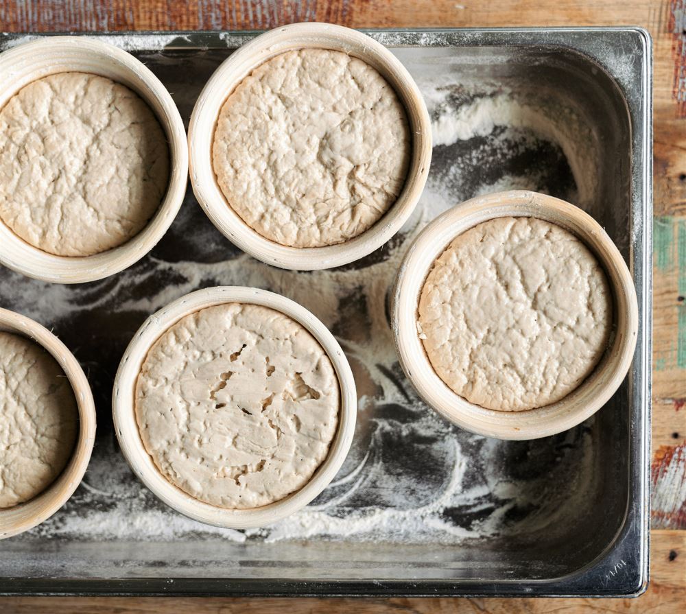 Five loaves of sourdough proving in Merchant Manor's kitchen.