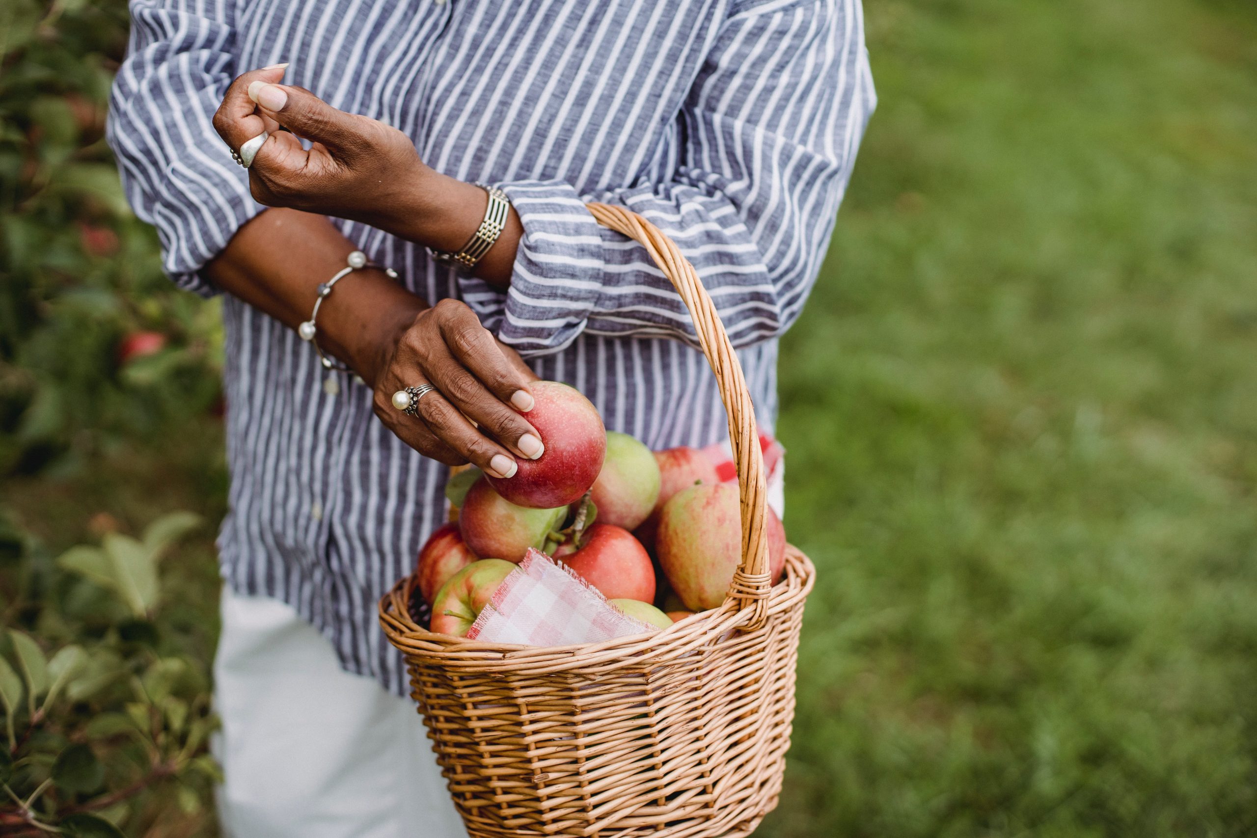 Picking fruit at Parkside Farm in Enfield.