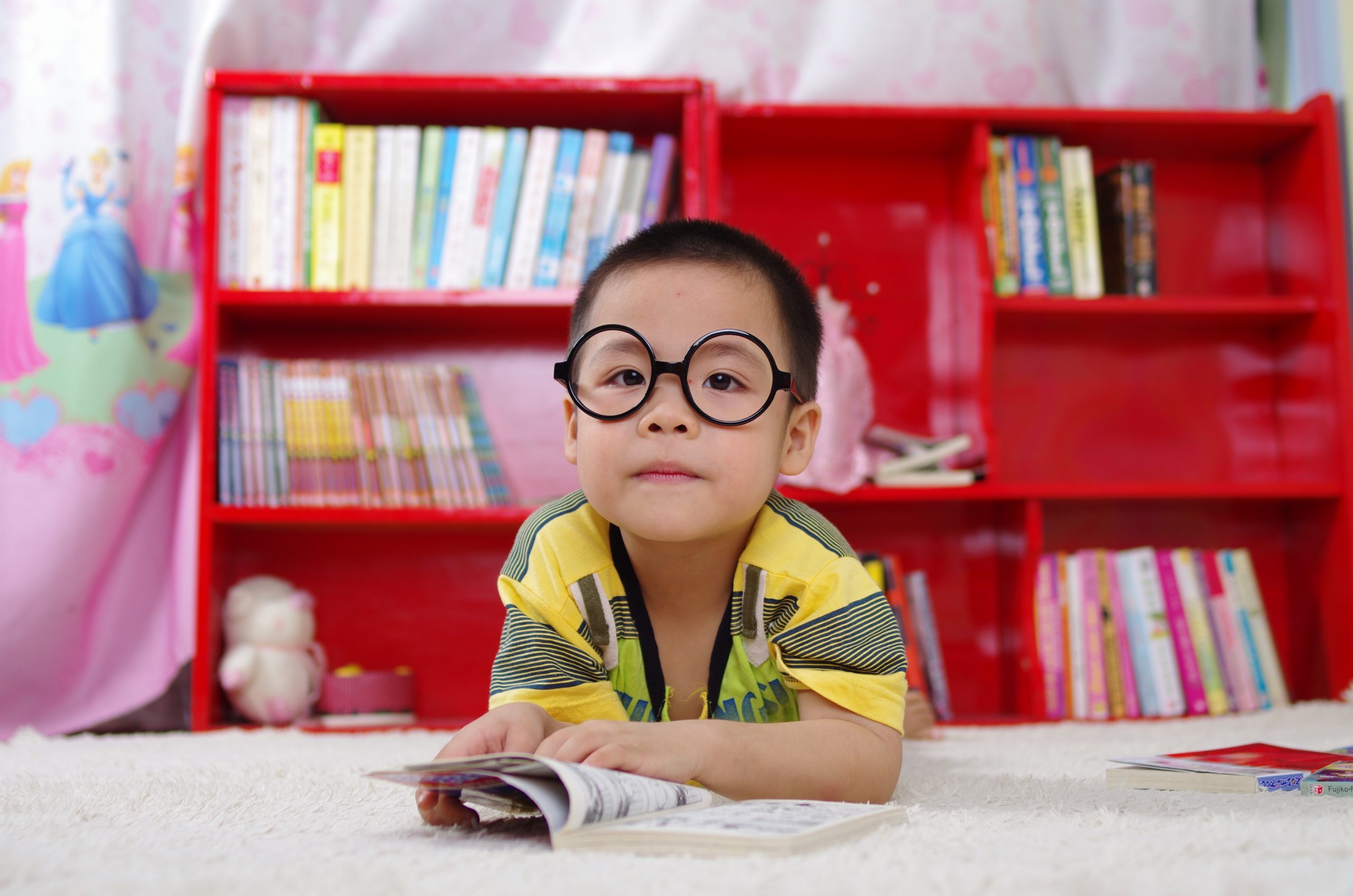 A very young boy with large black glasses looking up from reading his book.