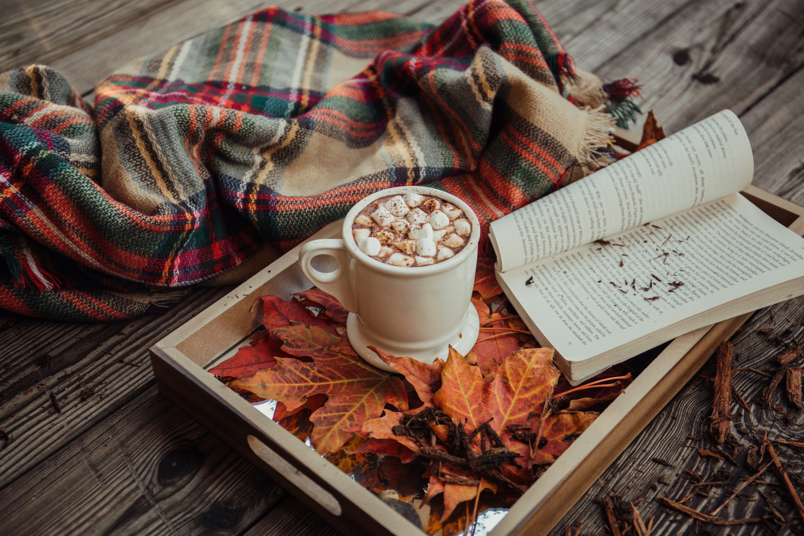 An open book, hot chocolate with marshmallows, a warm blanket, and autumn leaves.