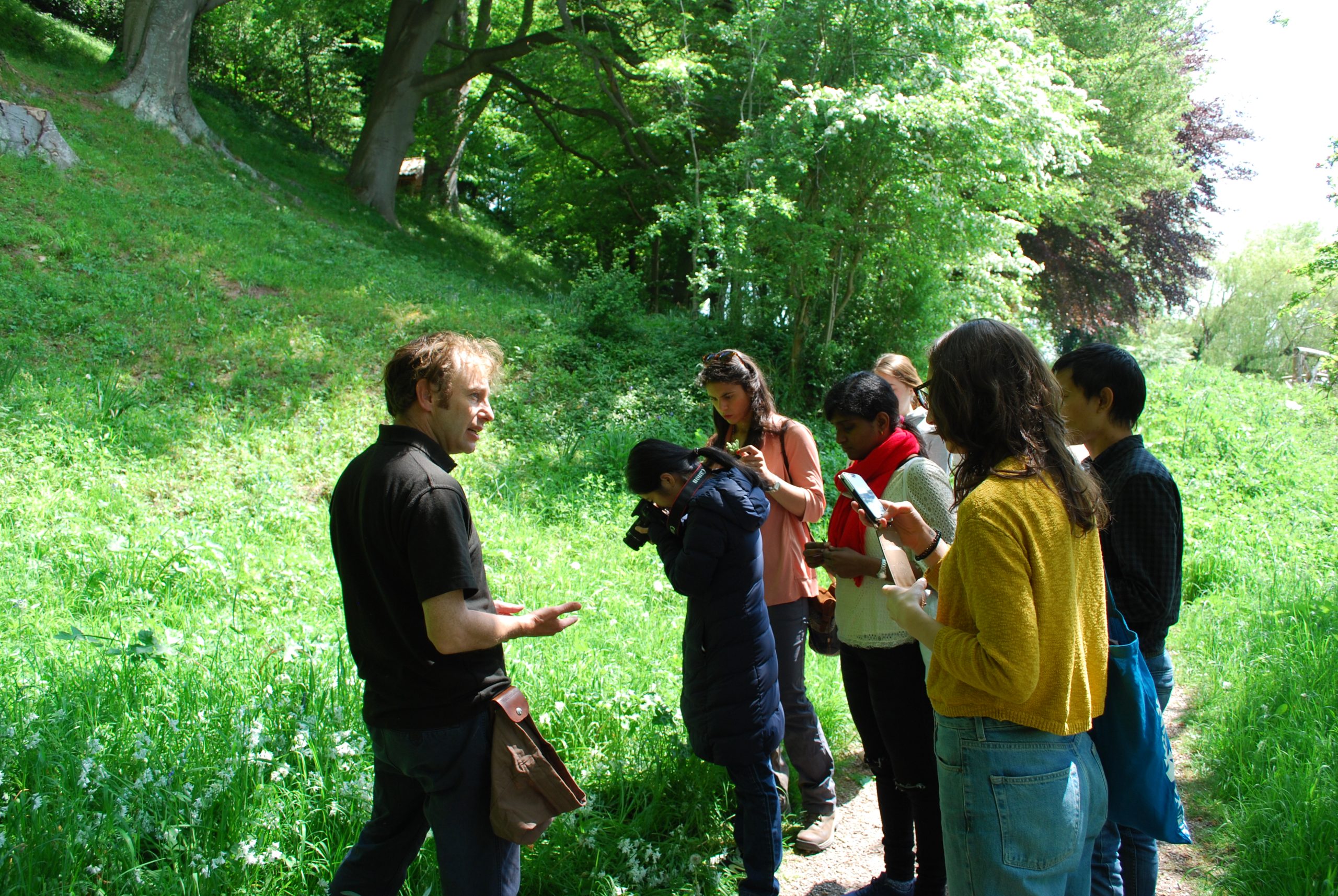 People foraging for mushrooms out in nature