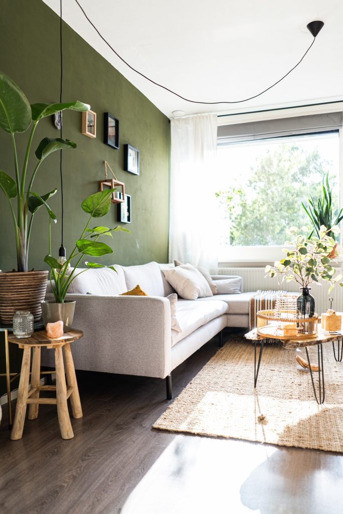 White sofa against a green wall, wooden floor and plants