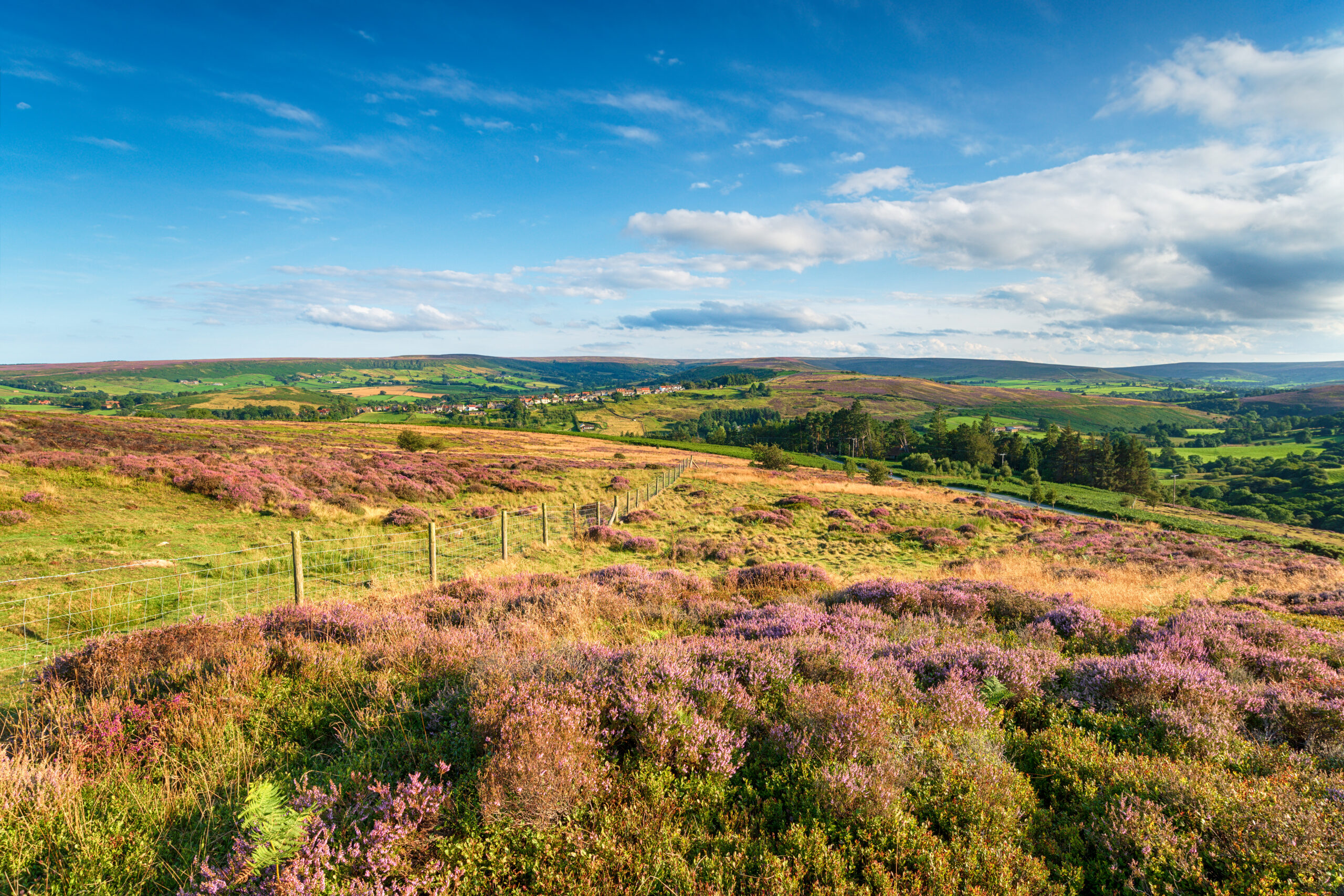 North York Moors National Park