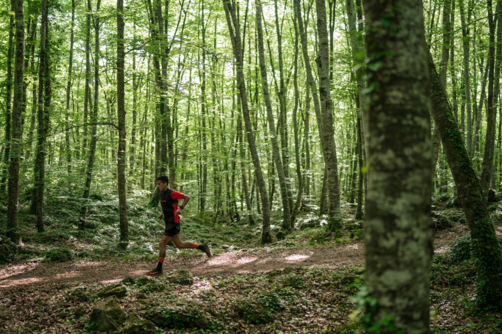 A young man jogs through a green forest in Spring.