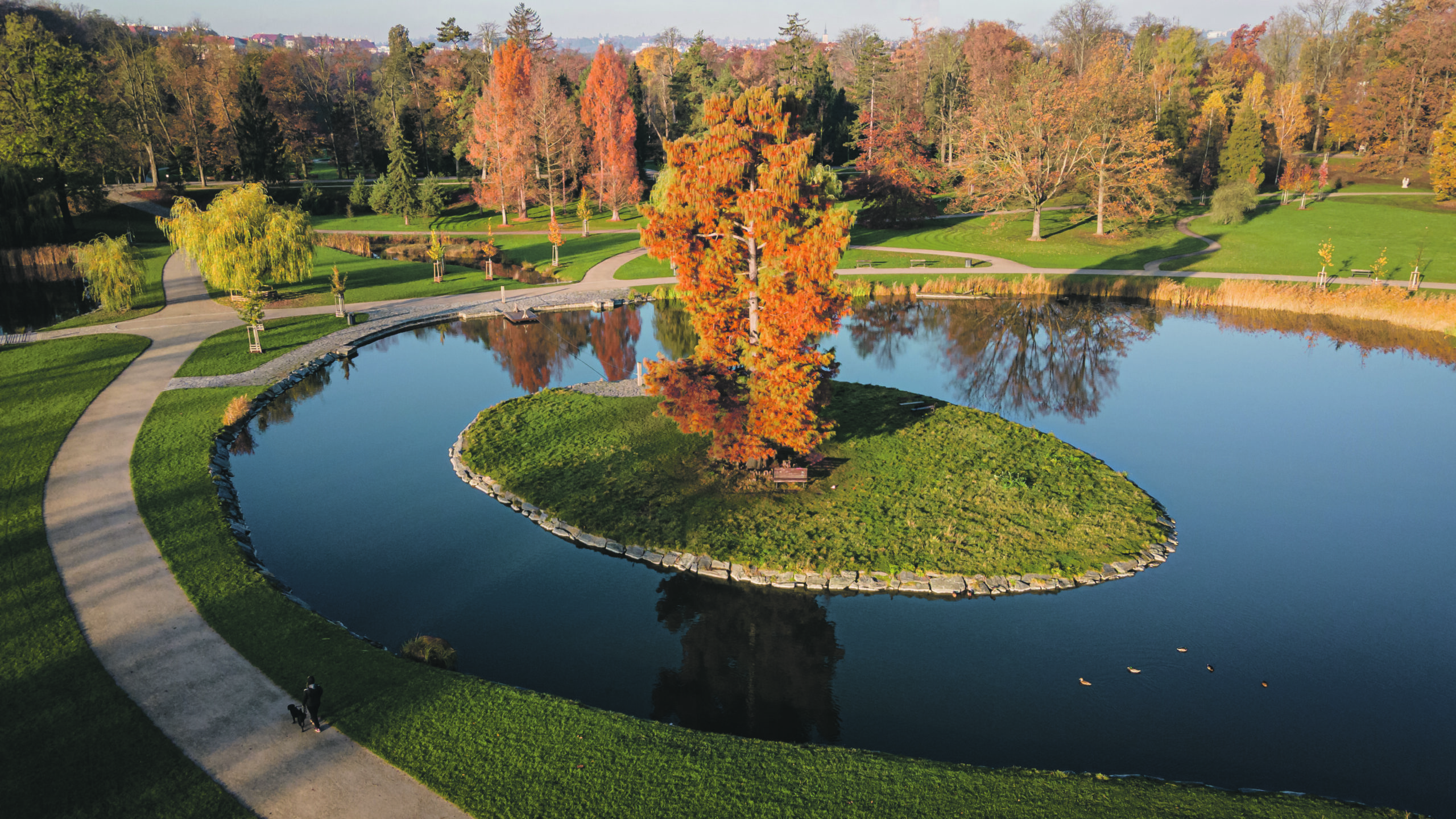 The dusk casts a magical glow over Stromovka town park in Prague.