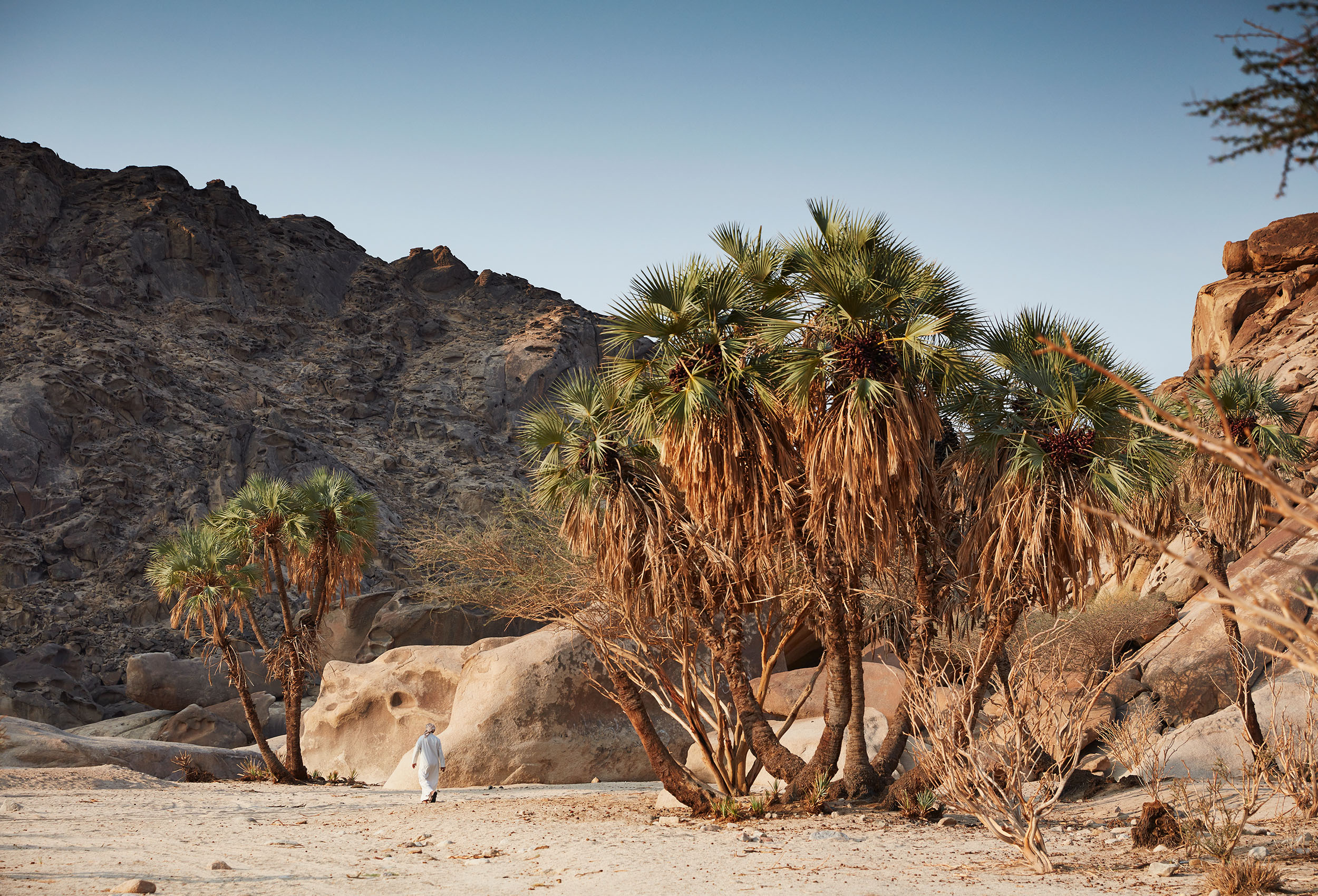 A lone figure walks into the arid Jabal Raal Nature Reserve.