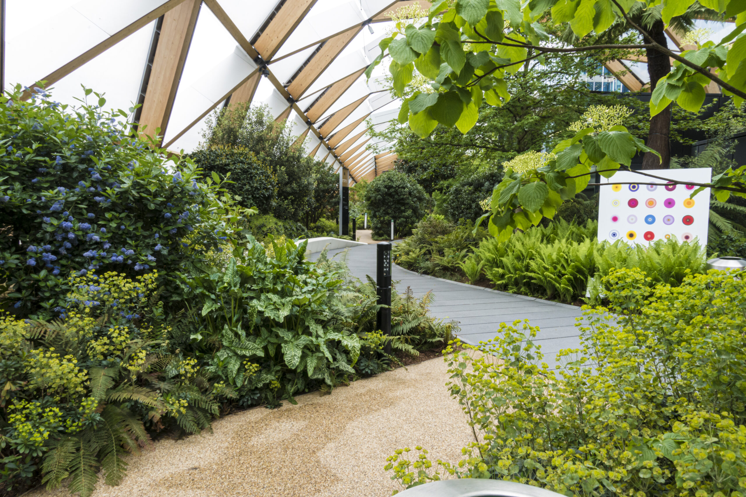 Leafy foliage at the Crossrail Place Roof Garden in Canary Wharf