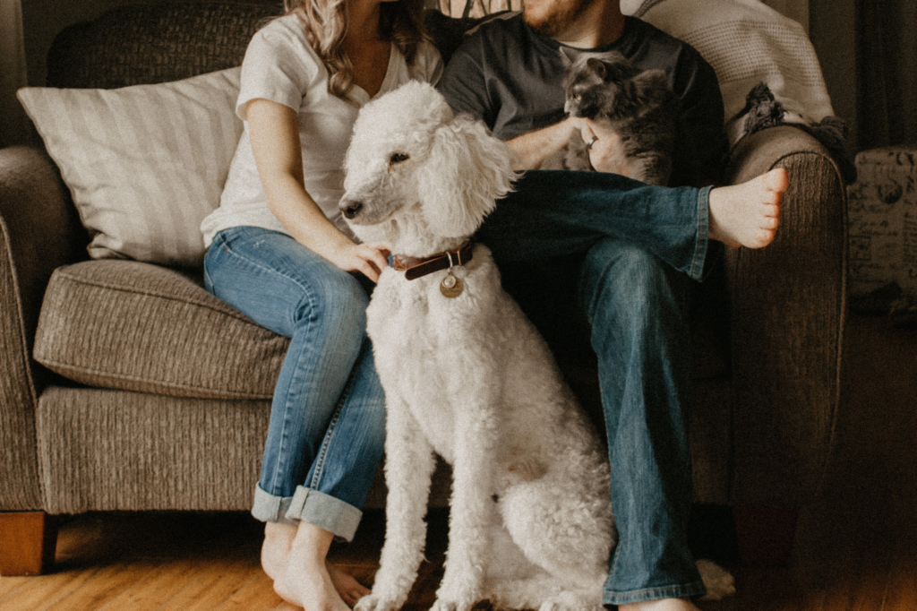 A cosy couple cuddling their cat and dog in a shared flat, their identities concealed in the framed photo.