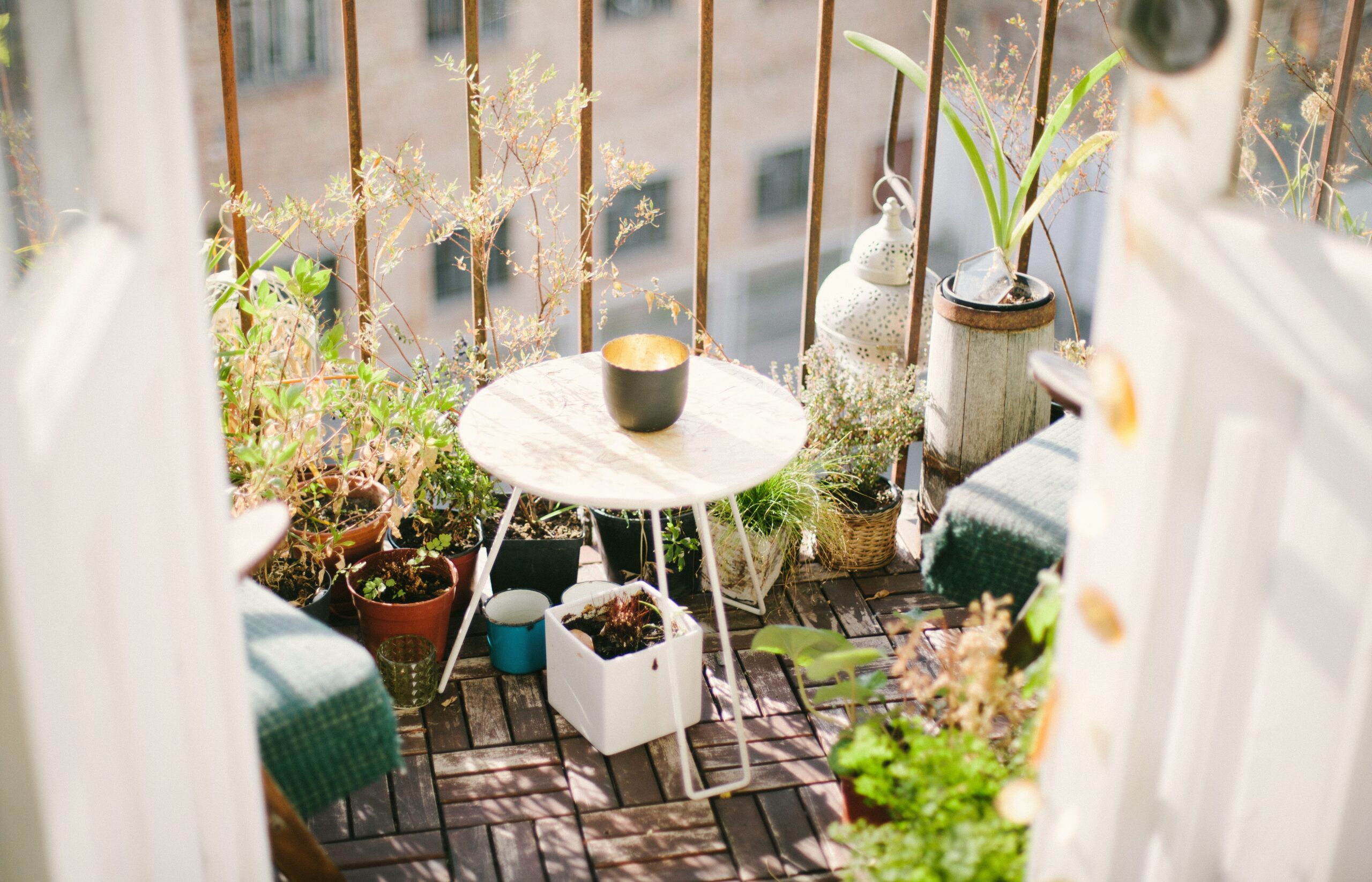Balcony with plants in pots and a little table