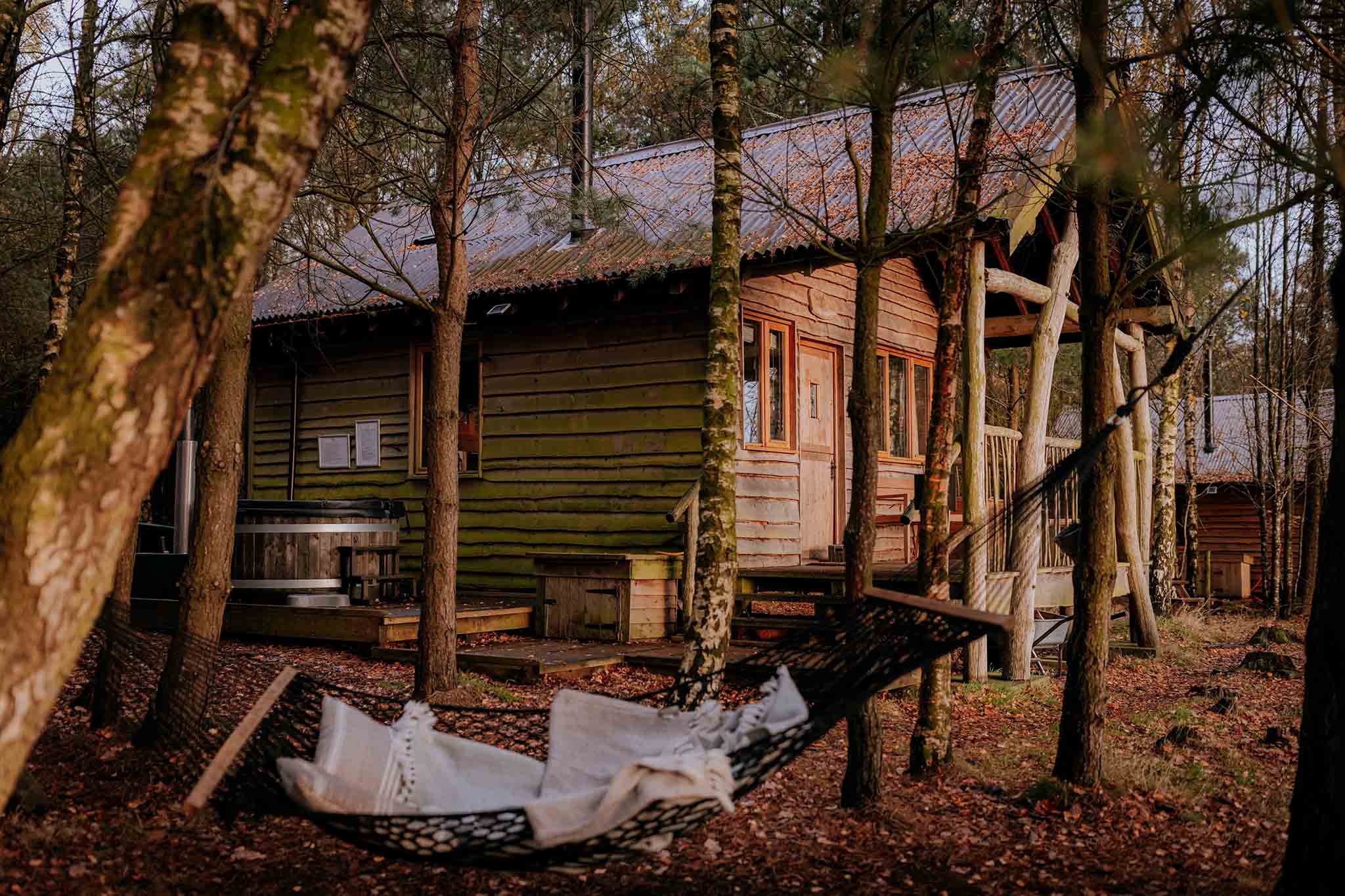 Tree lodge in the woods with swing outside