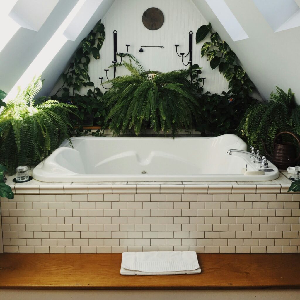 Bathtub surrounded by houseplants