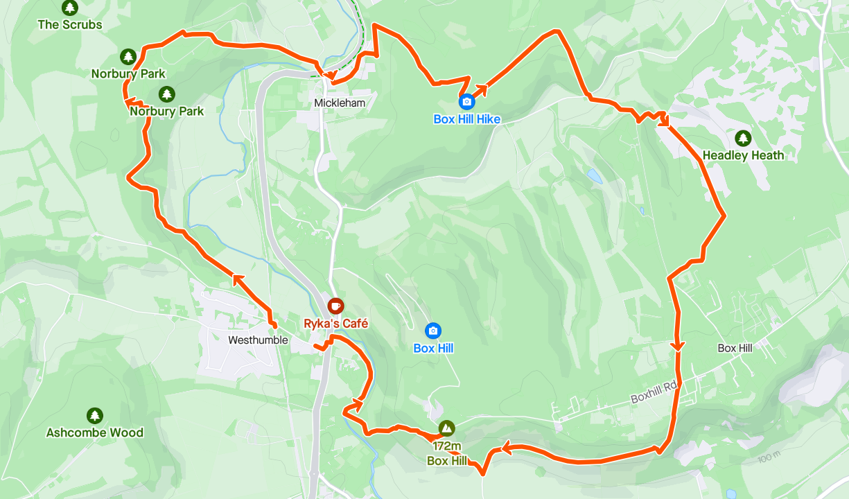 Box Hill Strava map