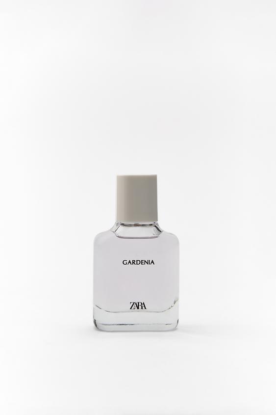 Gardenia Zara