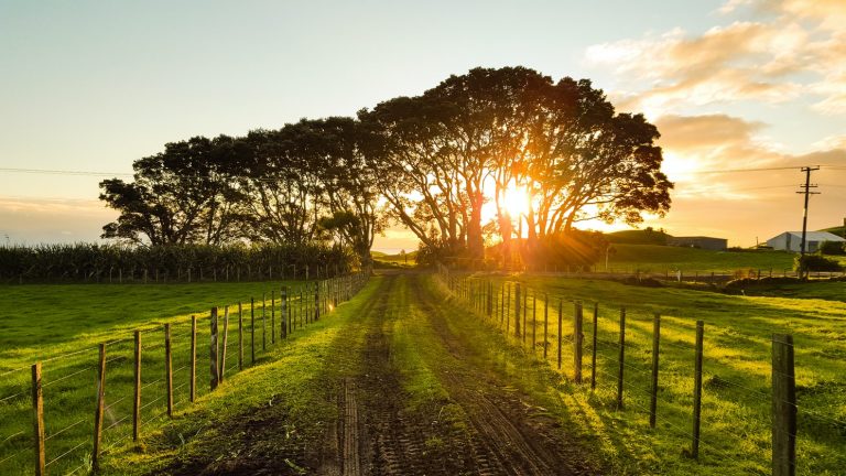 The sun rising on a country road.