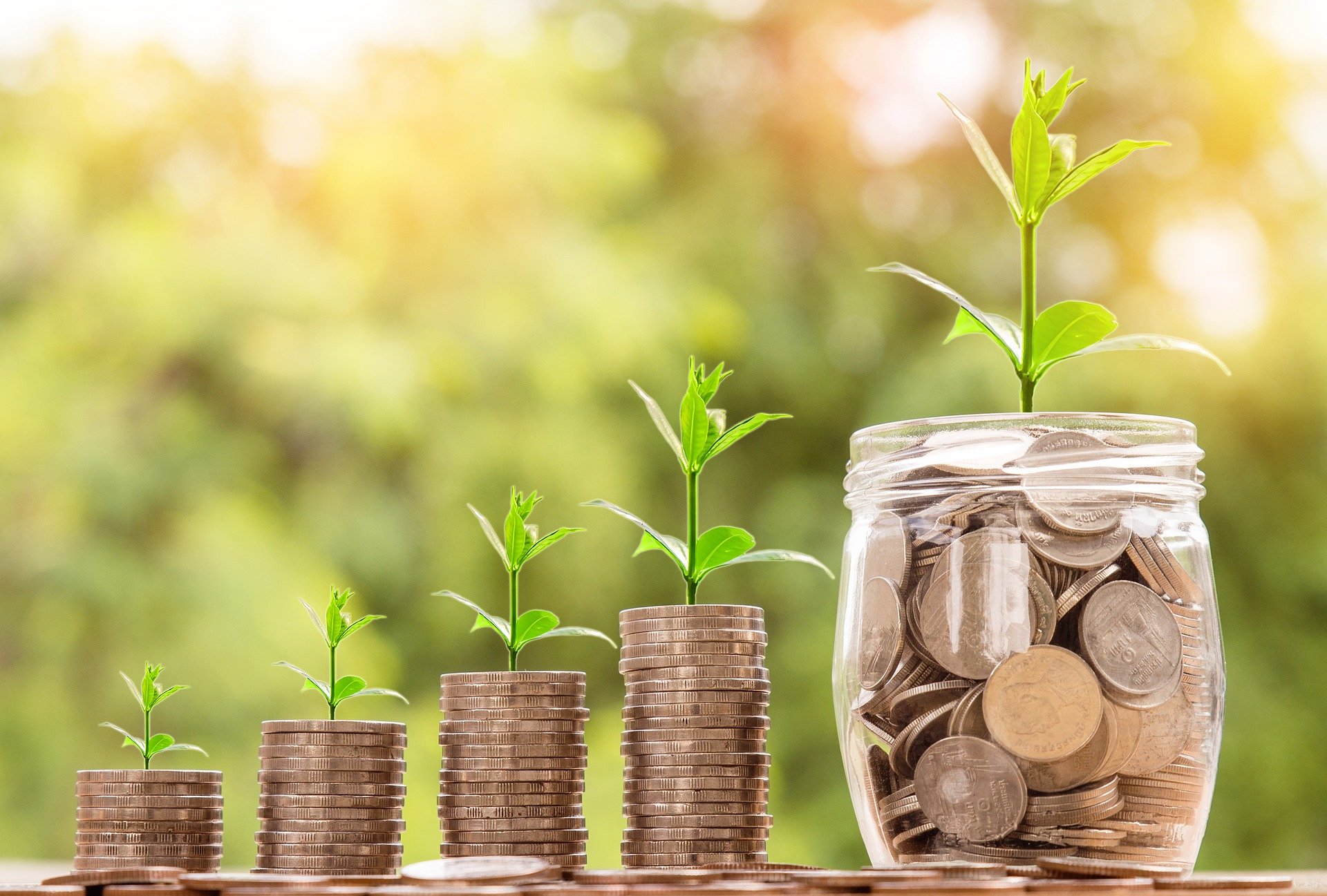 A row of coins with plants sprouting from the top of each row to illustrate how successful green banking can be