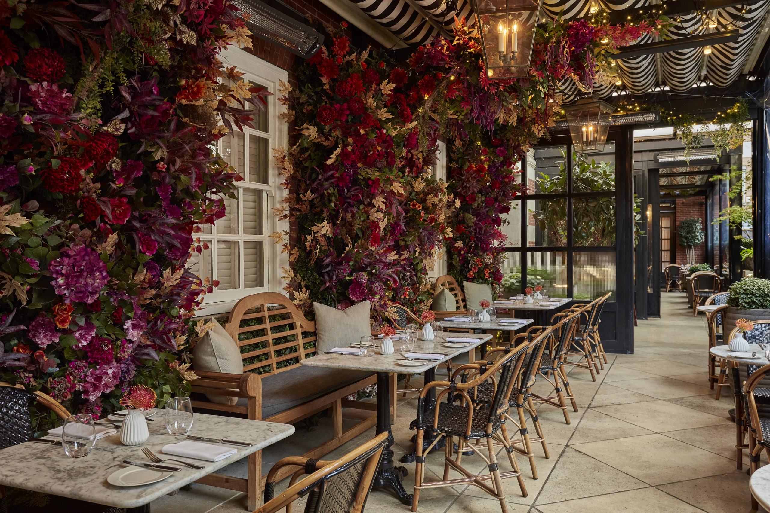 Christmas at Dalloway Terrace, Fitzrovia - seasonal flowers and twinkling lights
