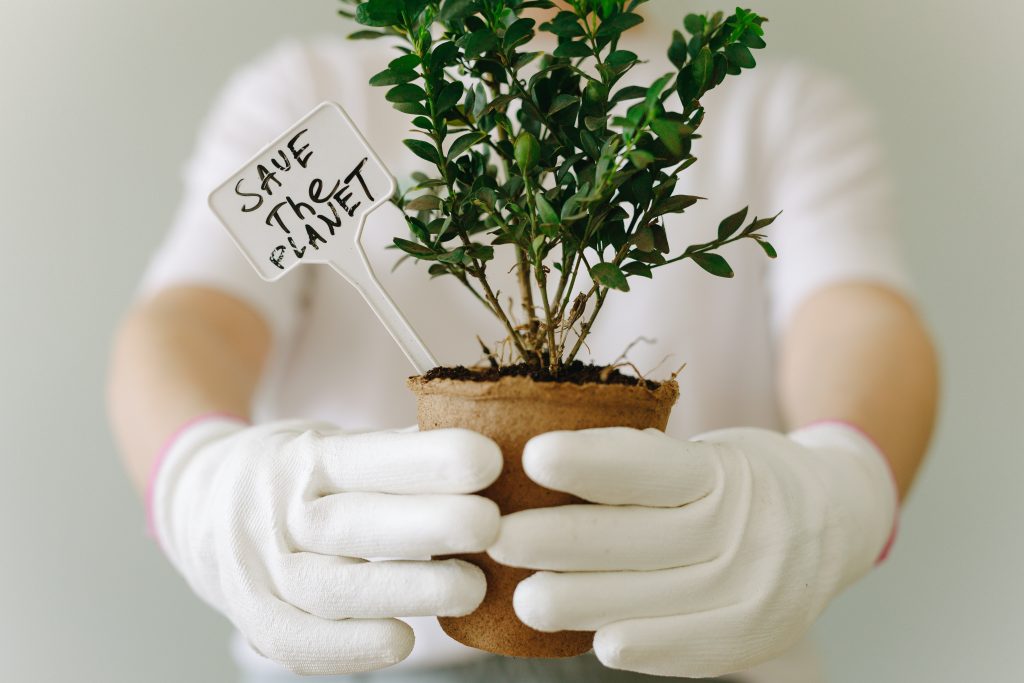 A woman holds a small potted plant with a label that reads 'Save The Planet'.
