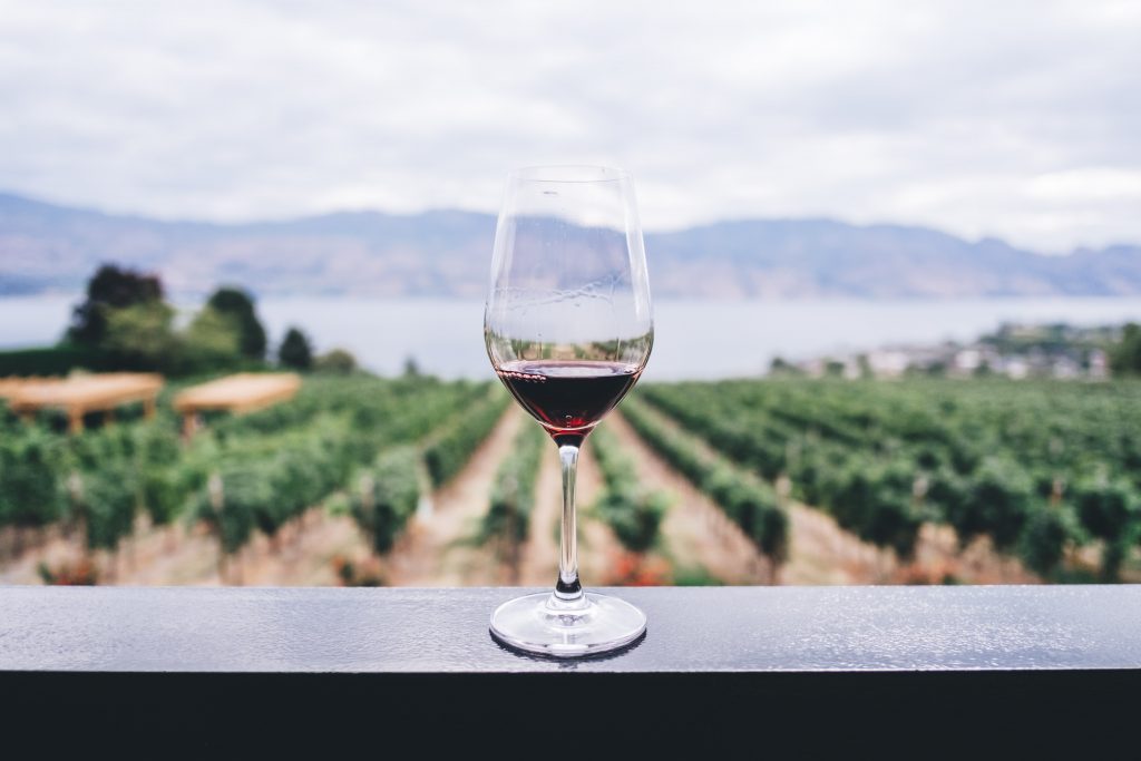 A glass of red wine against a backdrop of a green vineyard.
