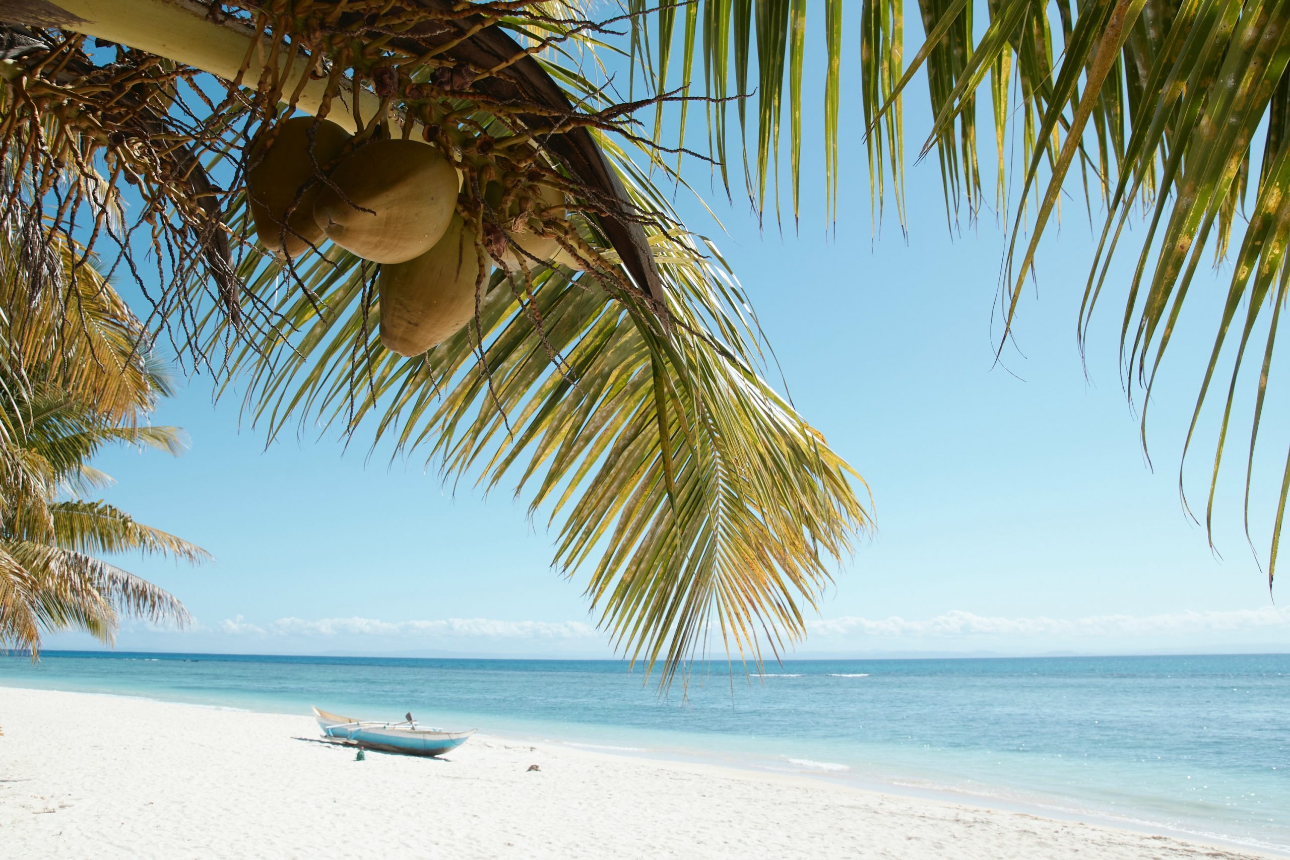 A lone boat lies unattended on the sandy beach of Madagascar with the branches of a coconut palm tree hanging overhead.