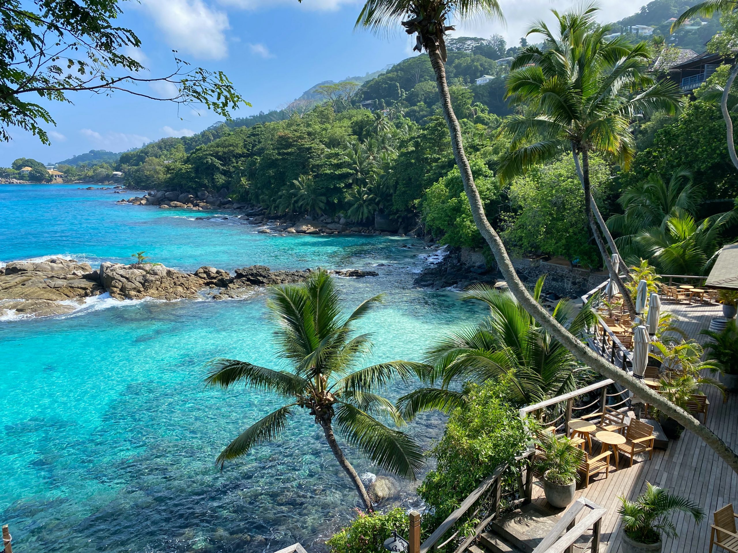 The beautiful Seychelles coastline framed by palm trees.