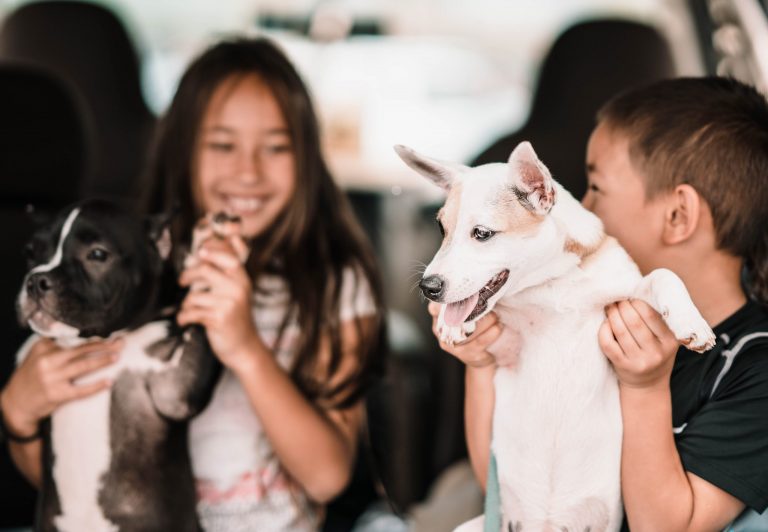 A young boy and girl hold up their puppies for all to see, smiling.