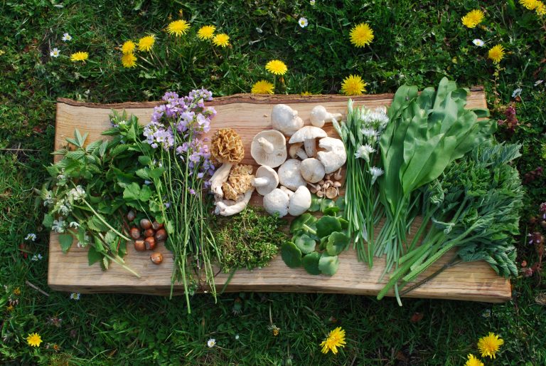 wild mushrooms on carved wood