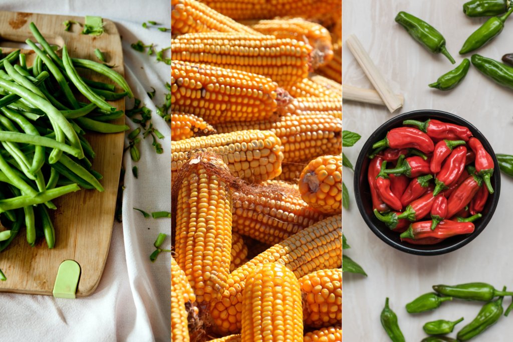 Three separate pictures of green beans, sweetcorn and red peppers, to contrast their colours.