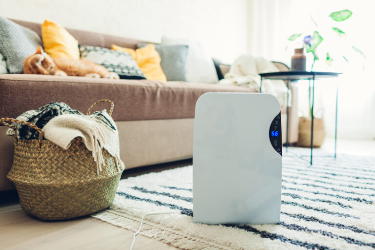 A dehumidifier in the background of a living room.