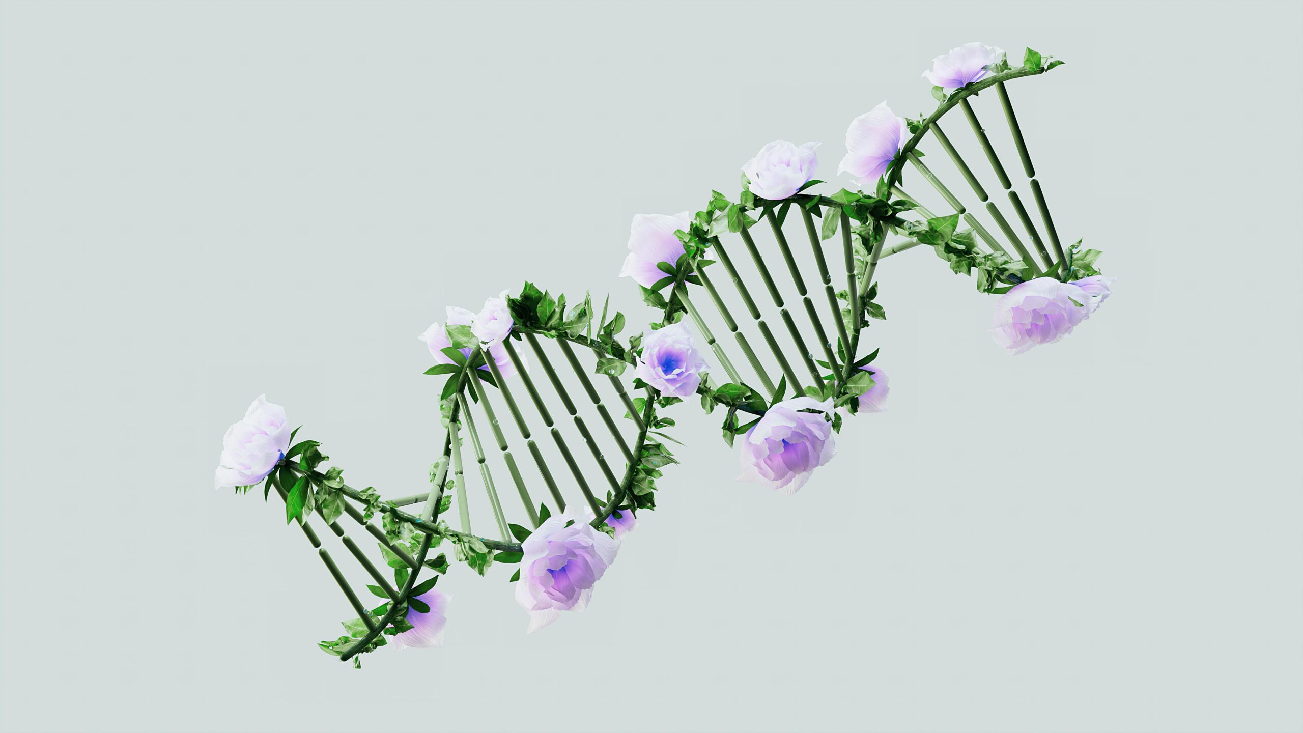 a DNA chain with leaves and lilac flowers on the edges