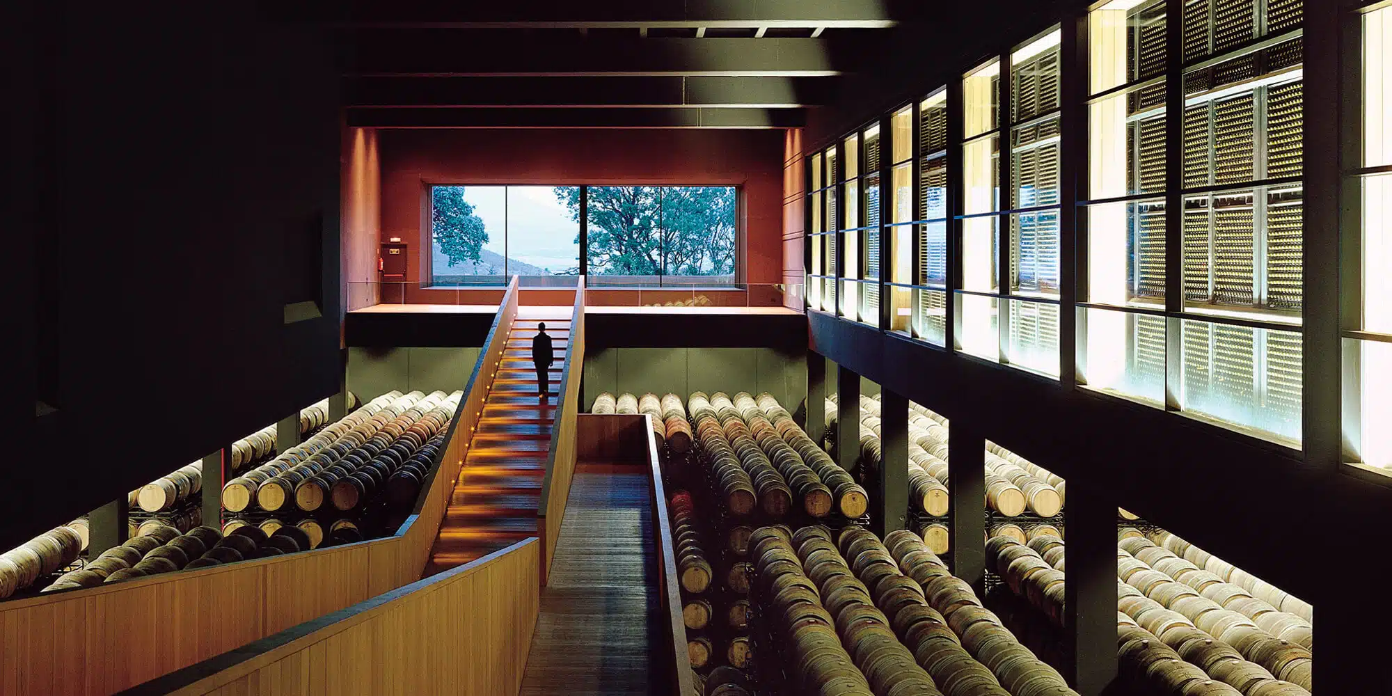 oak barrel room of winery in rioja