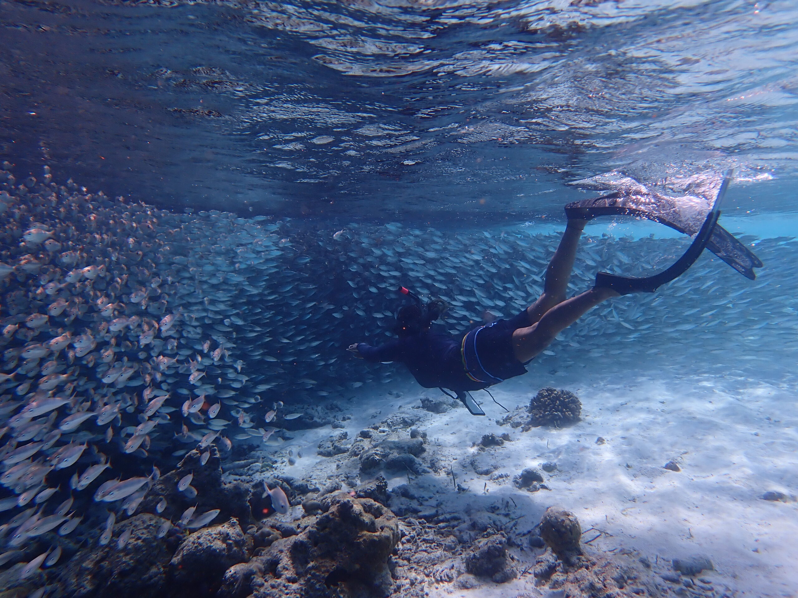 diver swimming through maldives