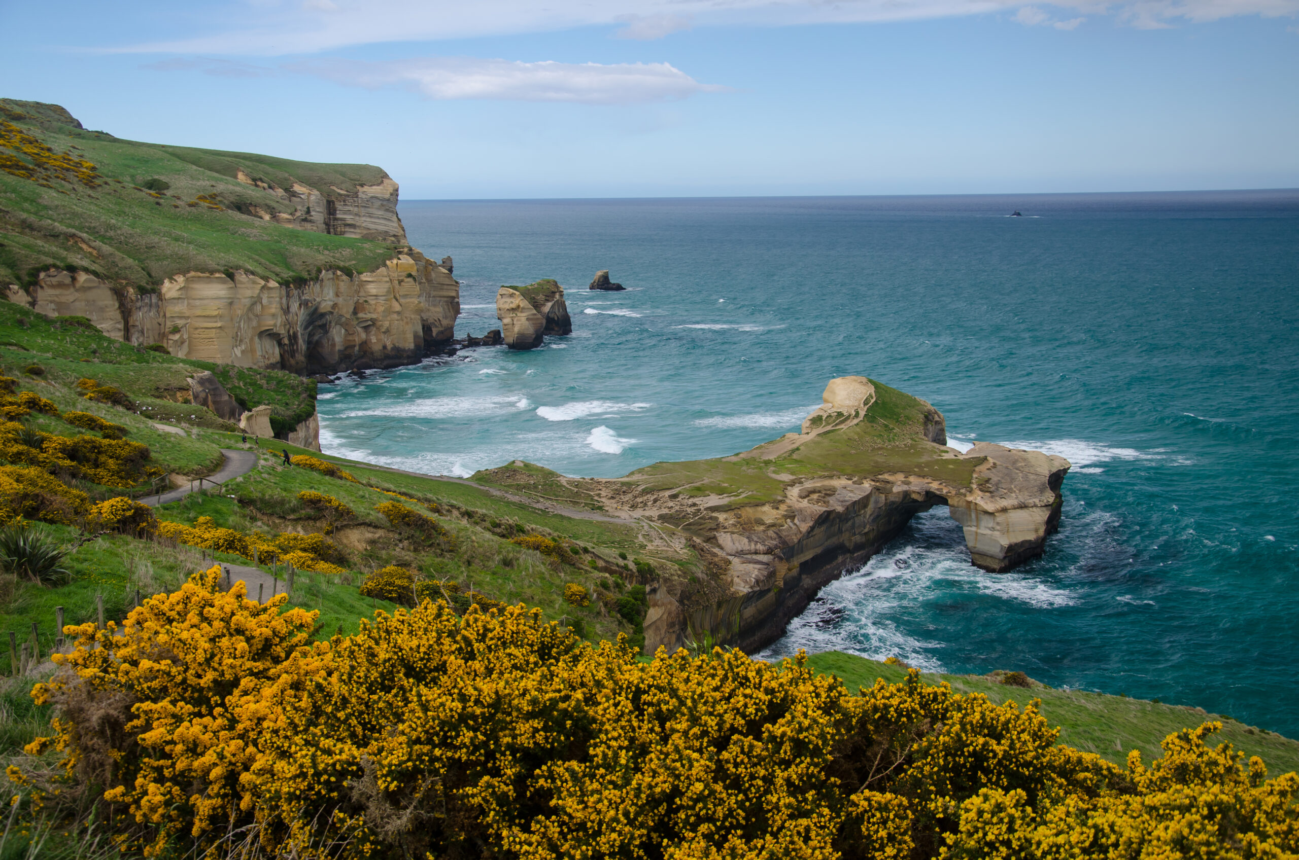 Waikato in New Zealand