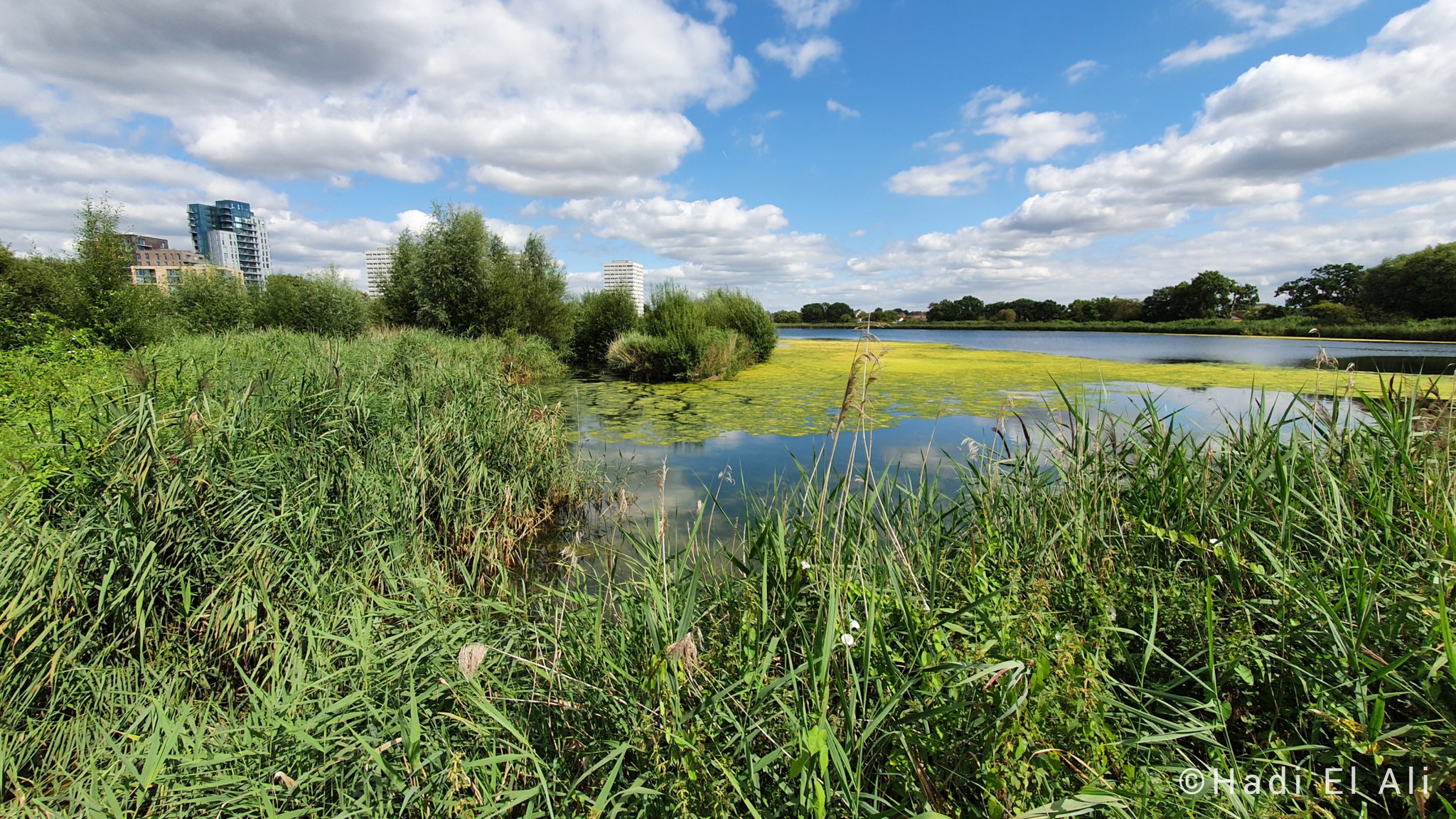 Woodberry Woodlands