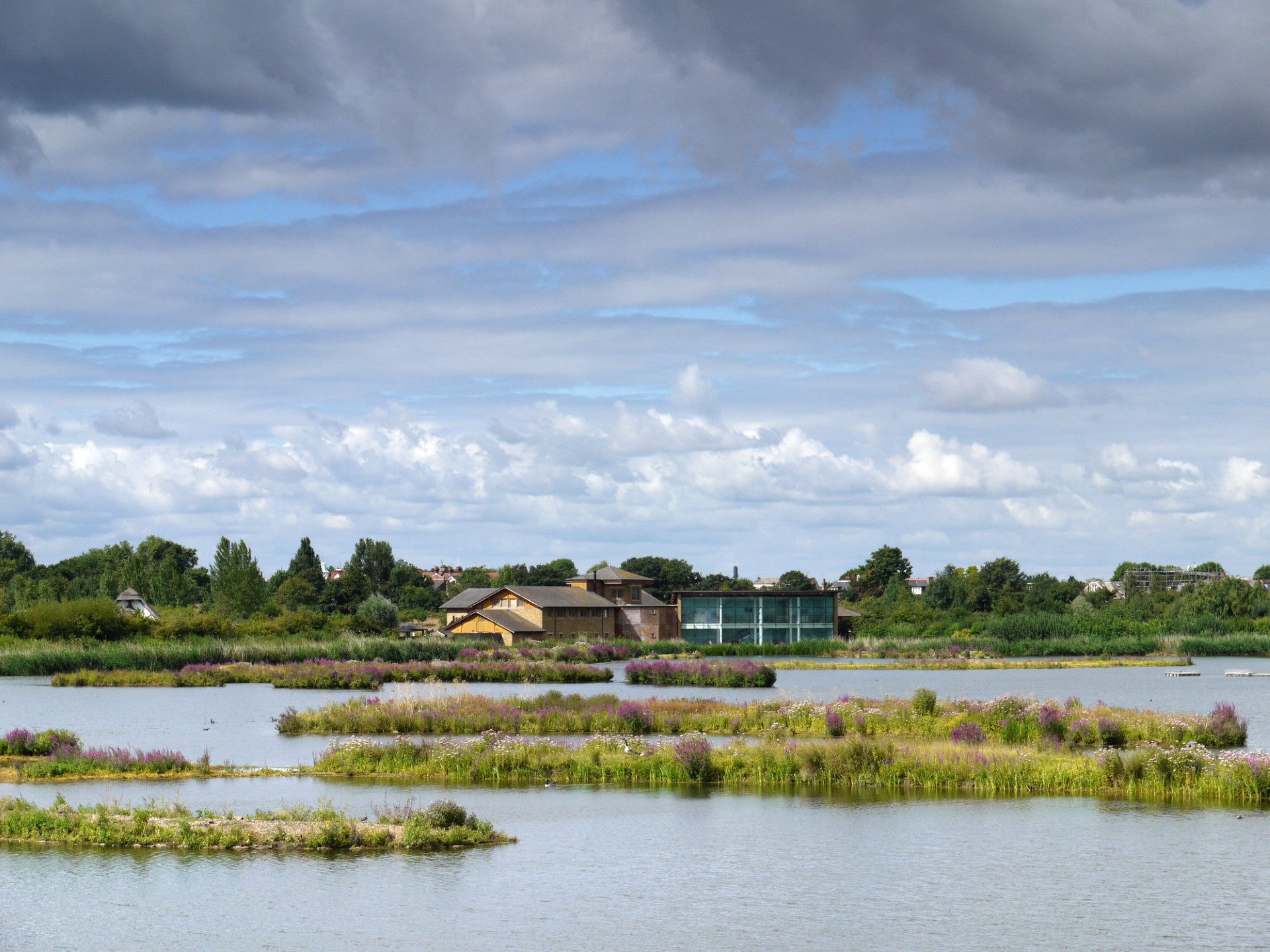 London Wetlands Centre scenery