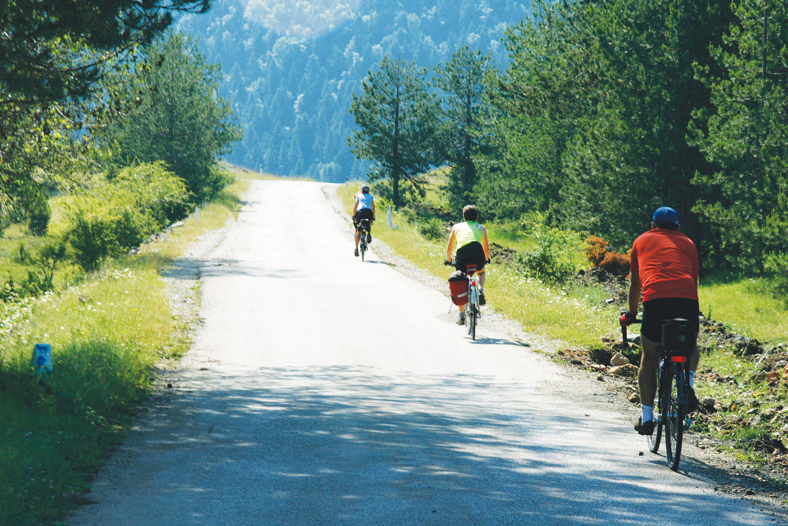 three people cycling in single file down a montain road surrounded by green trees