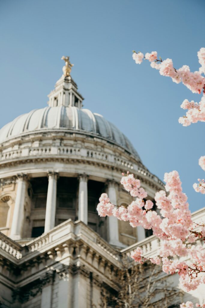 Blossom outside St Paul's Cathedral