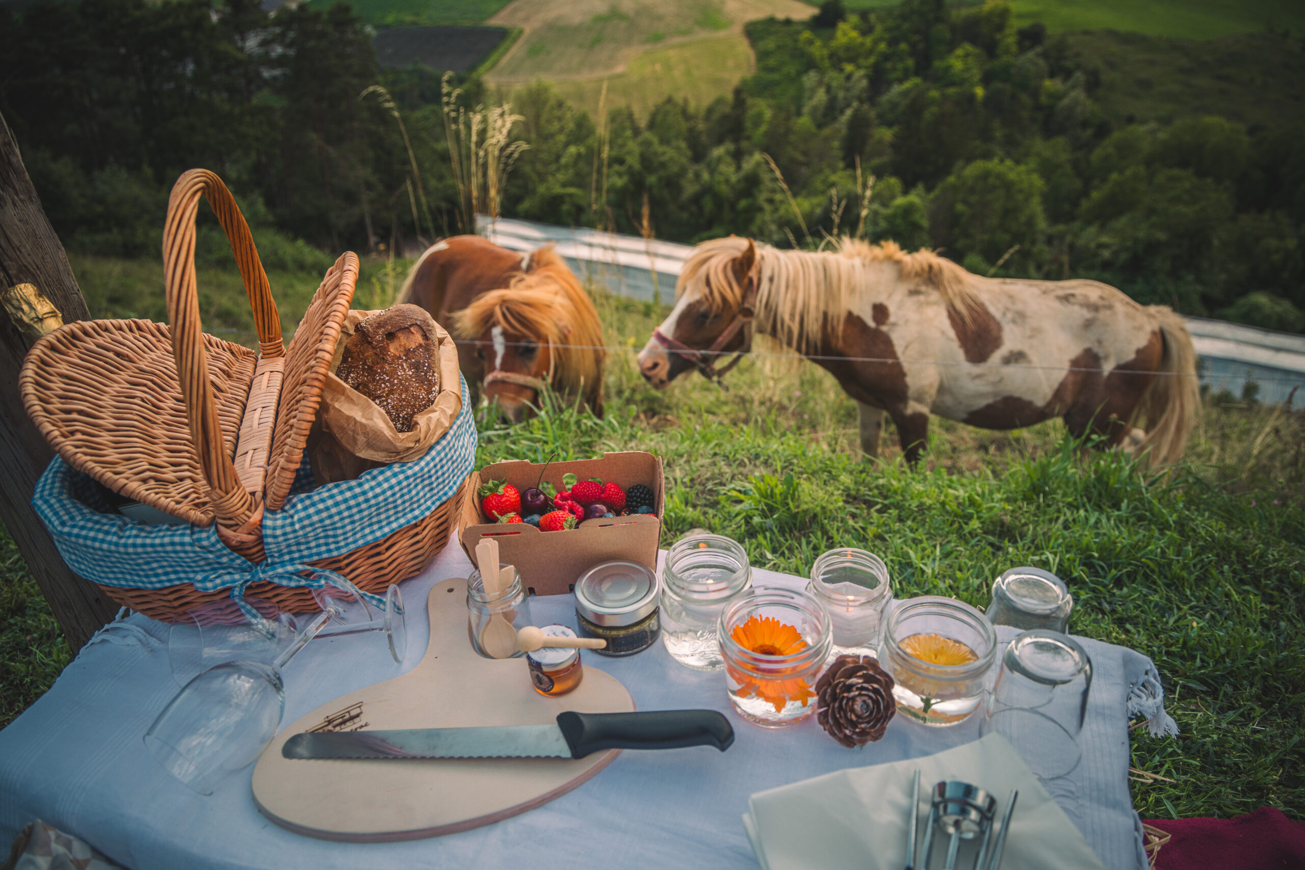 Sunset Pic Nic Experience at Maso Maserac