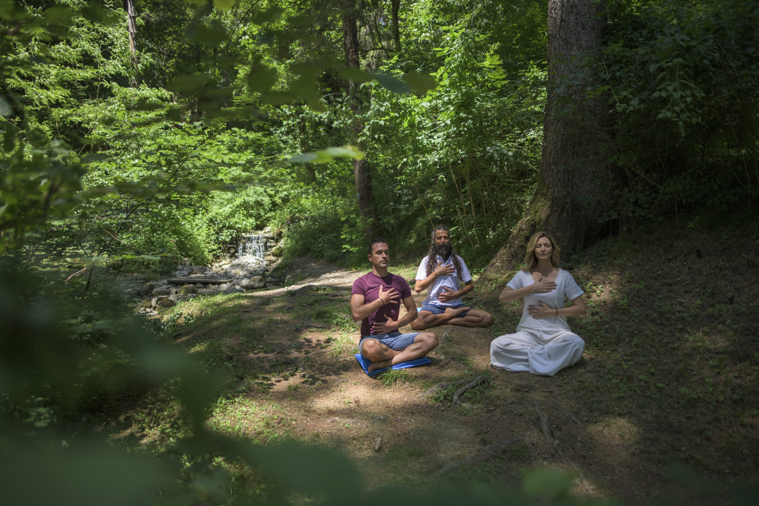 Forest bathing in Garda Trentino