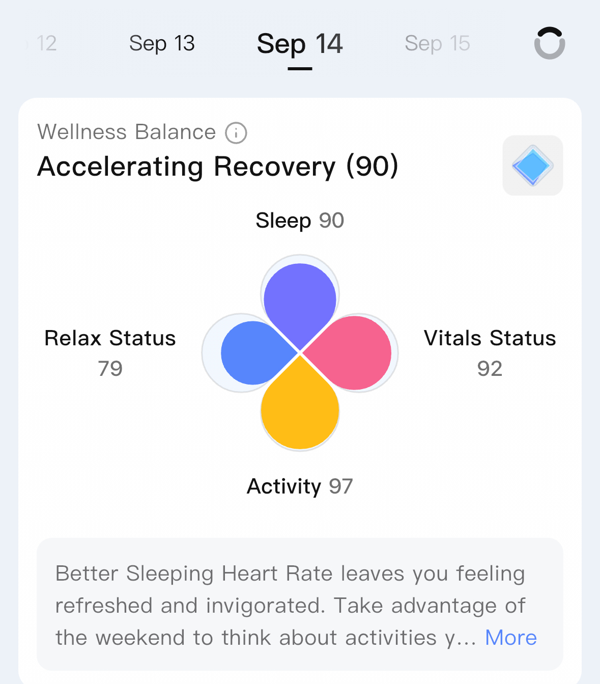 RingConn Wellness Balance