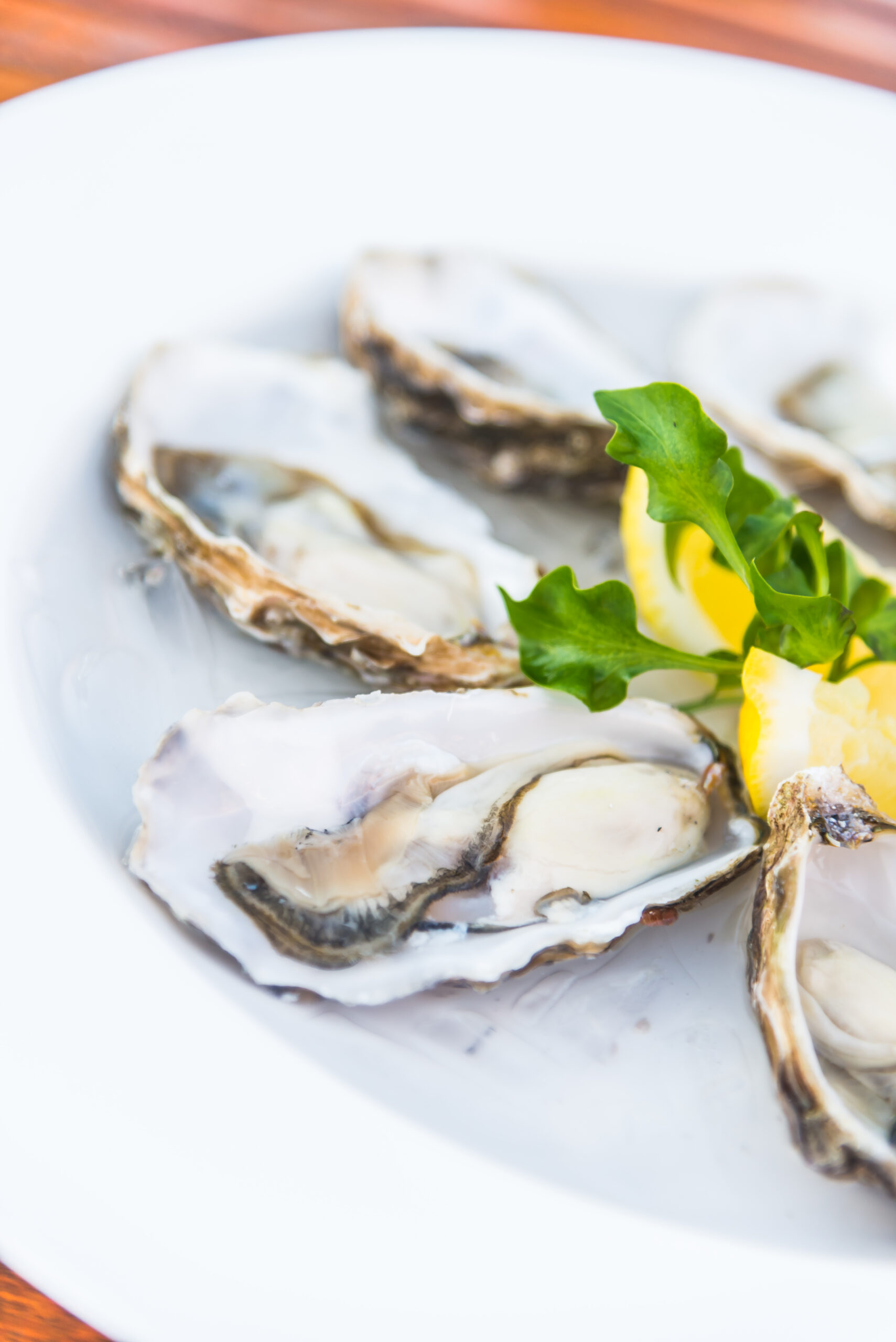 A plate of fresh oysters.
