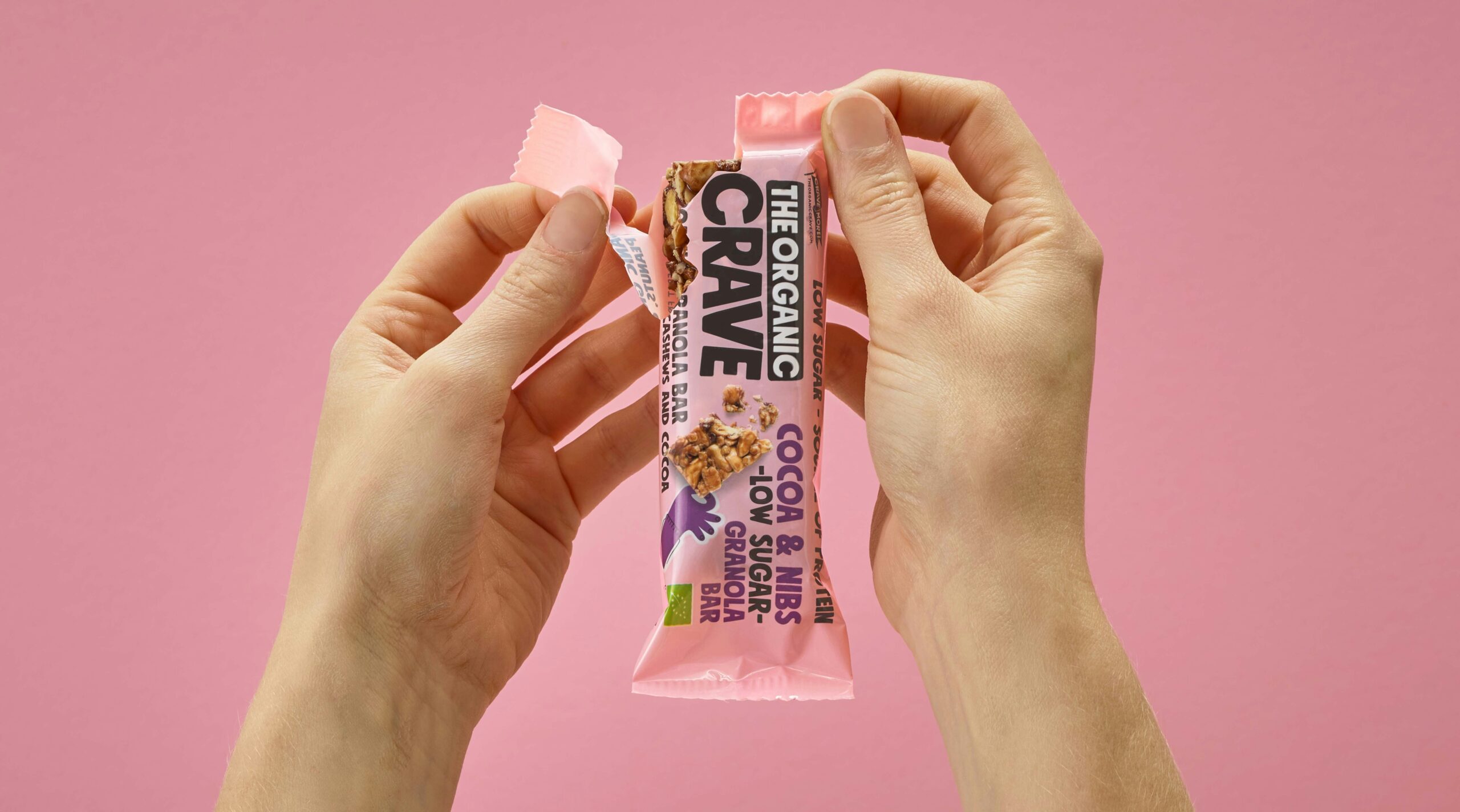 Protein cereal bar