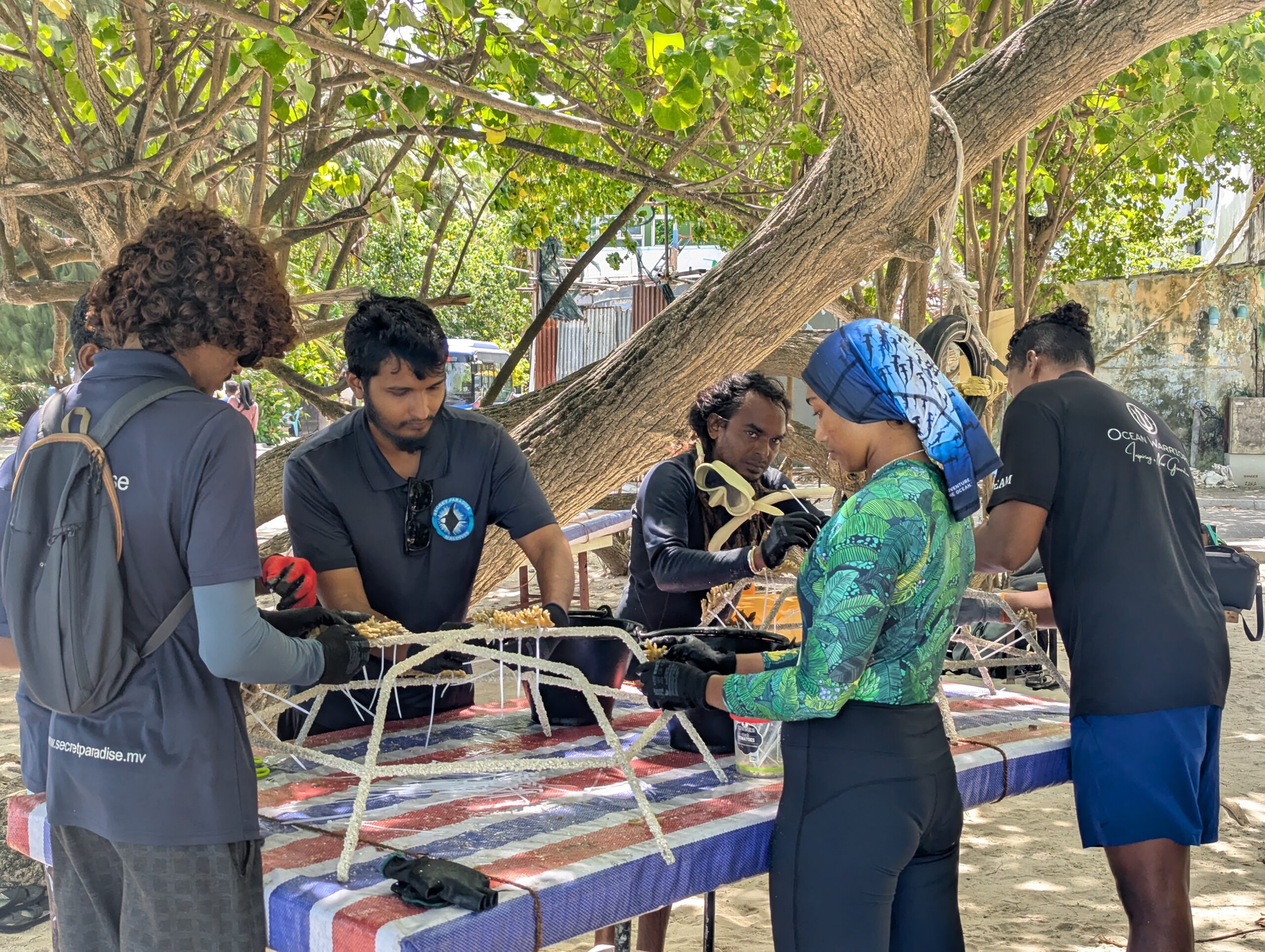 Tourists work on conservation