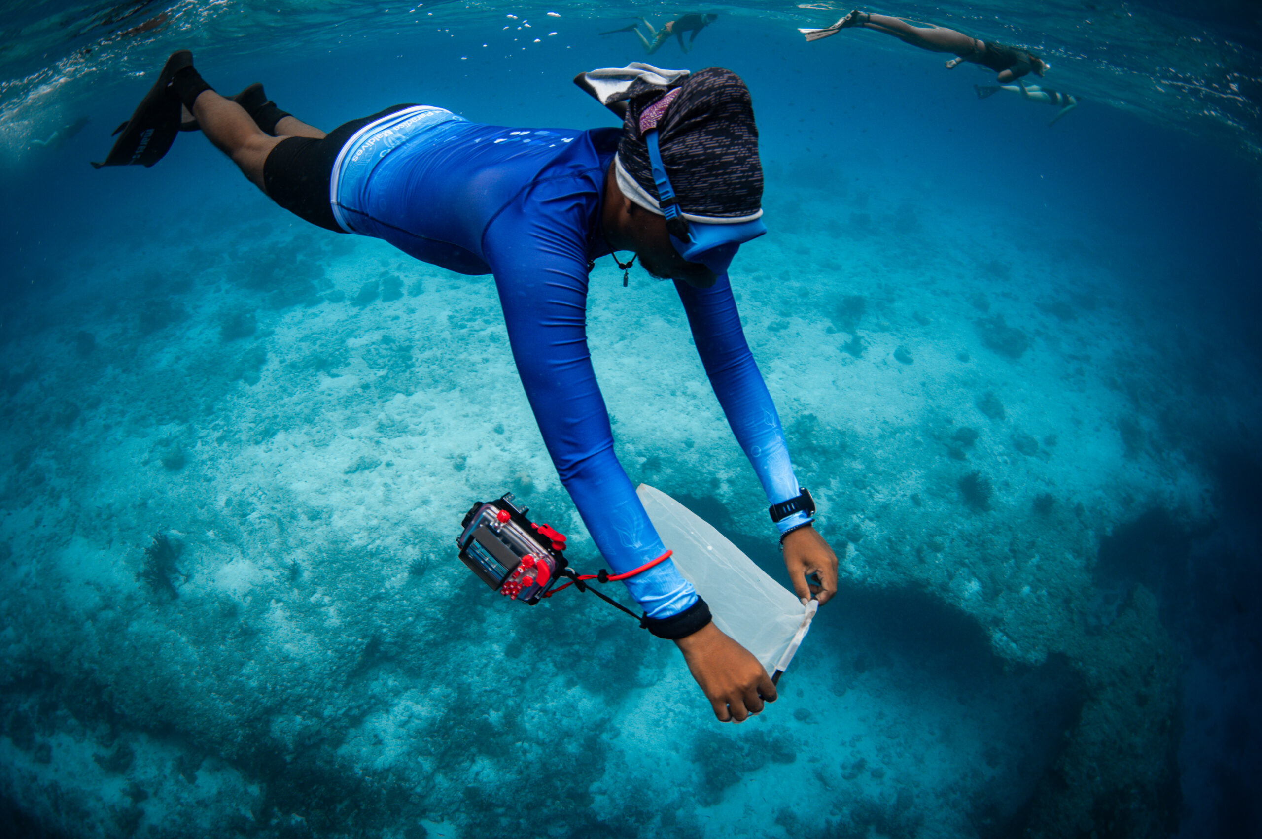 The Maldives Whale Shark Research Programme's April 2025 research trip
